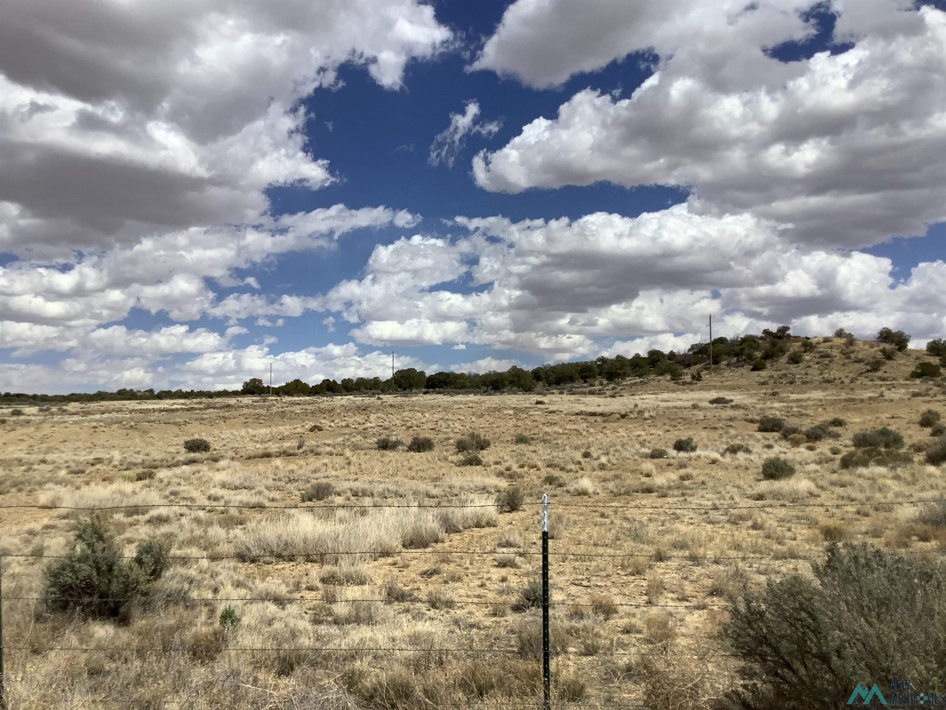 943 B Highway 491 Highway, Ya-Tah-Hey, Texas image 1