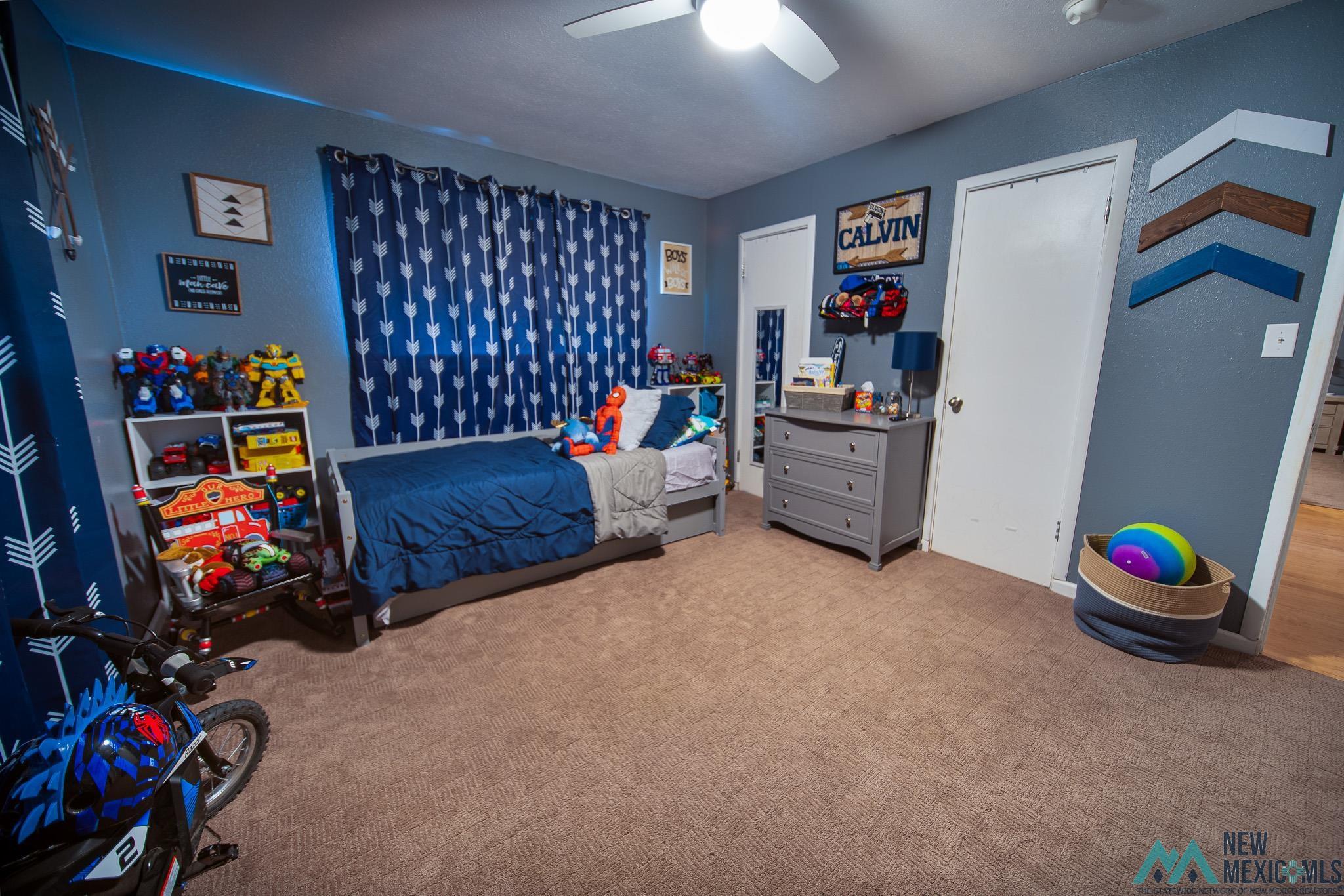 914 N Richard Street, Carlsbad, Texas image 21