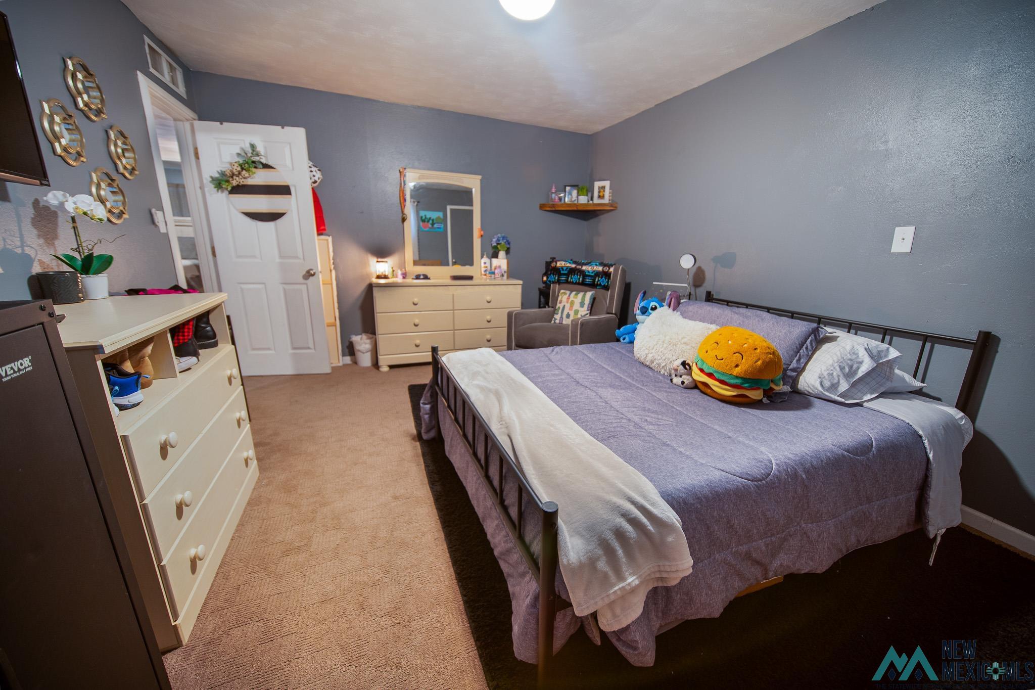 914 N Richard Street, Carlsbad, Texas image 19