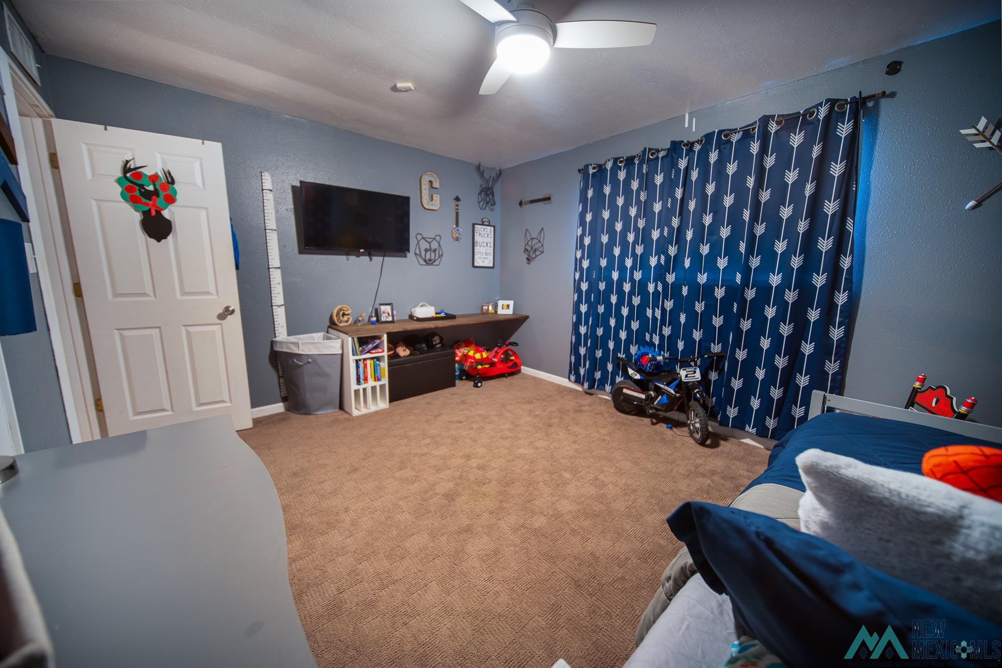 914 N Richard Street, Carlsbad, Texas image 22