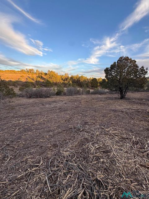 Vacant Land For Sale - 165 Eldrado Drives<br/> Timberon, NM 88350