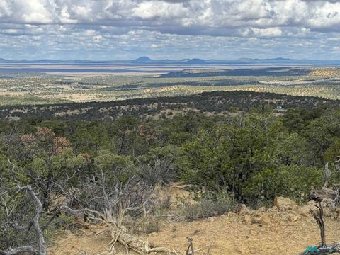 Homes For Sale - 107 Silver Spur Road<br/> Pie Town, NM 87827