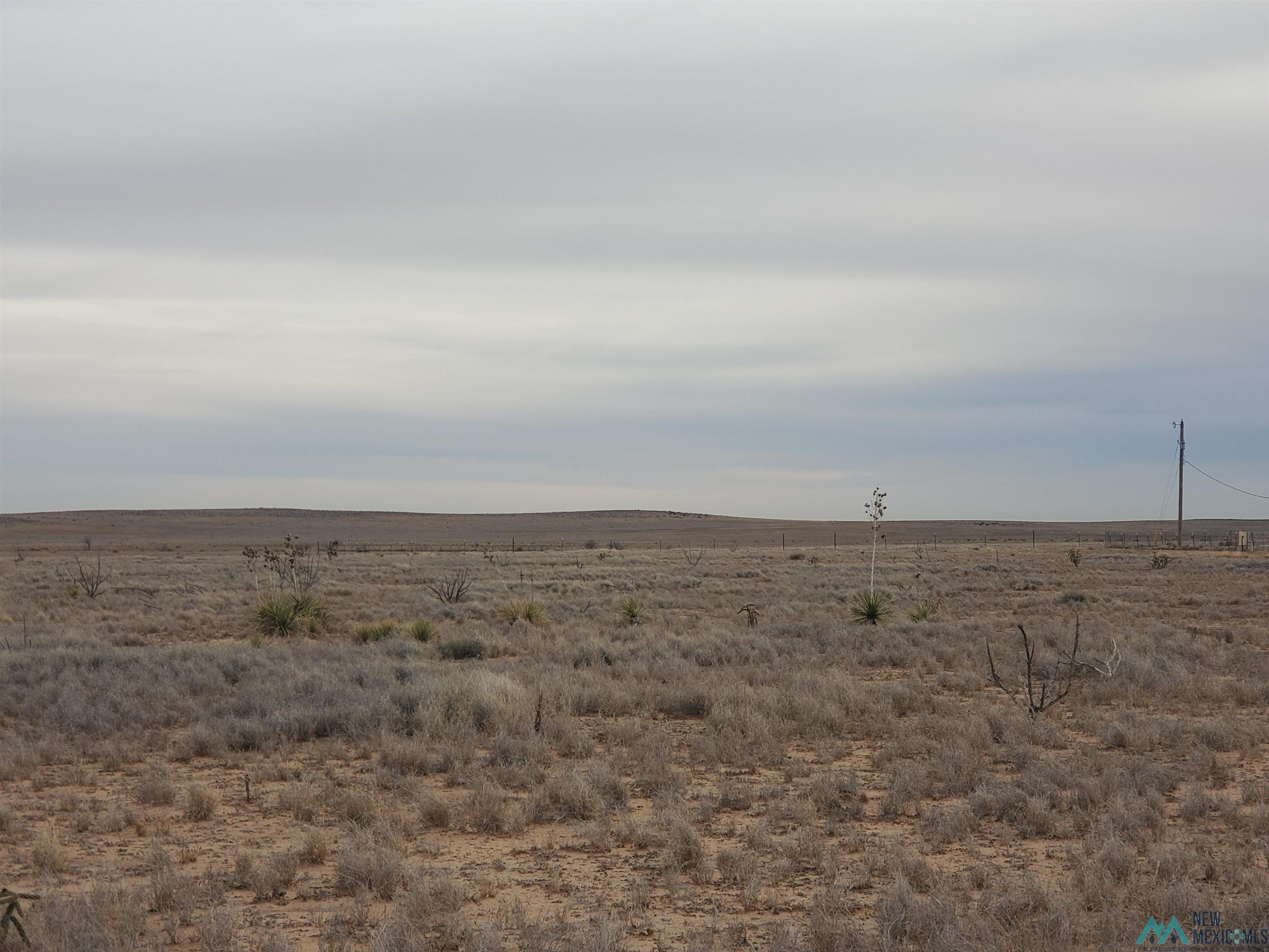 000 Tierra Brande Boulevard, Roswell, New Mexico image 3