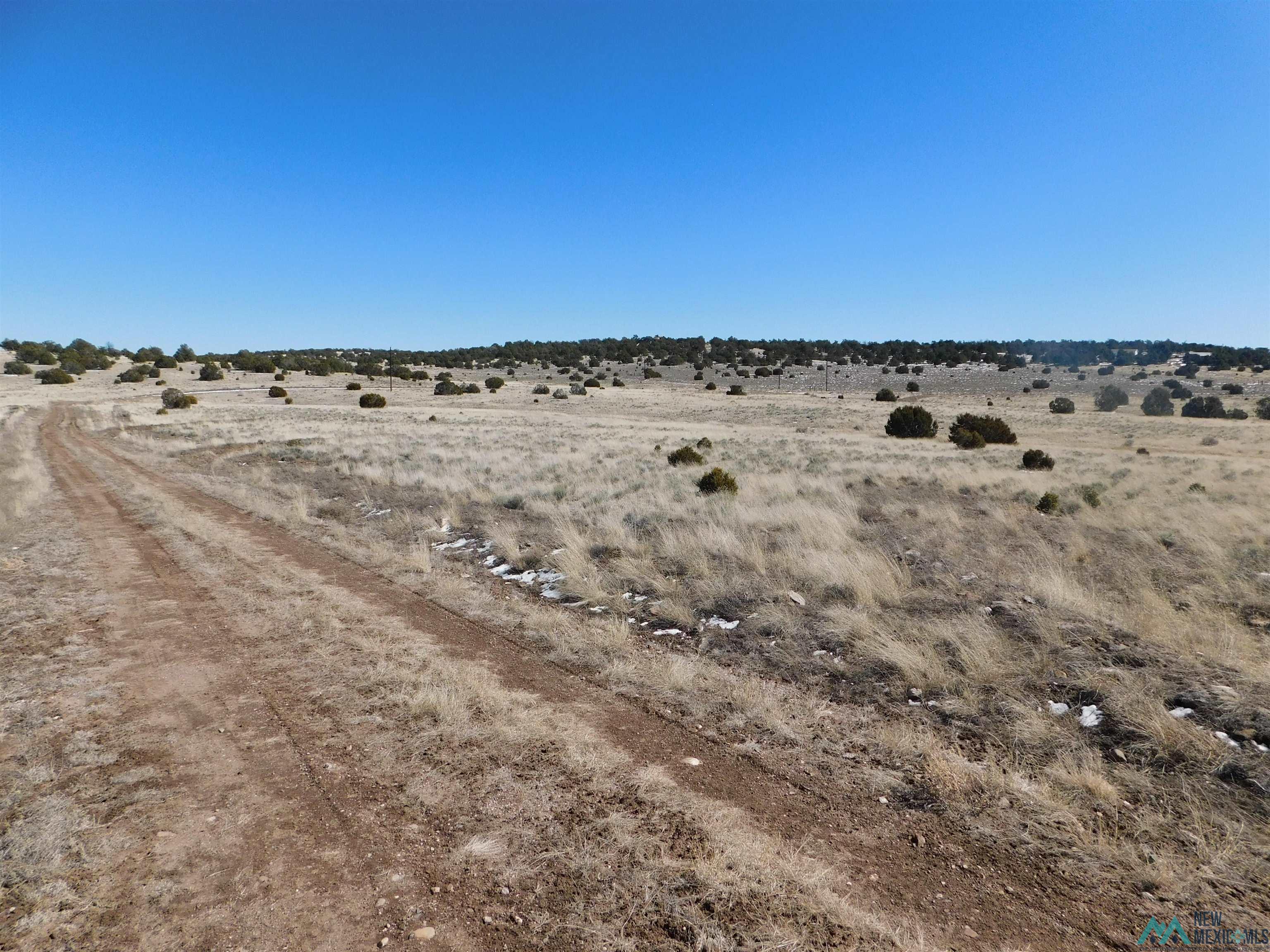 67 Bronco Boulevard, Quemado, New Mexico image 6