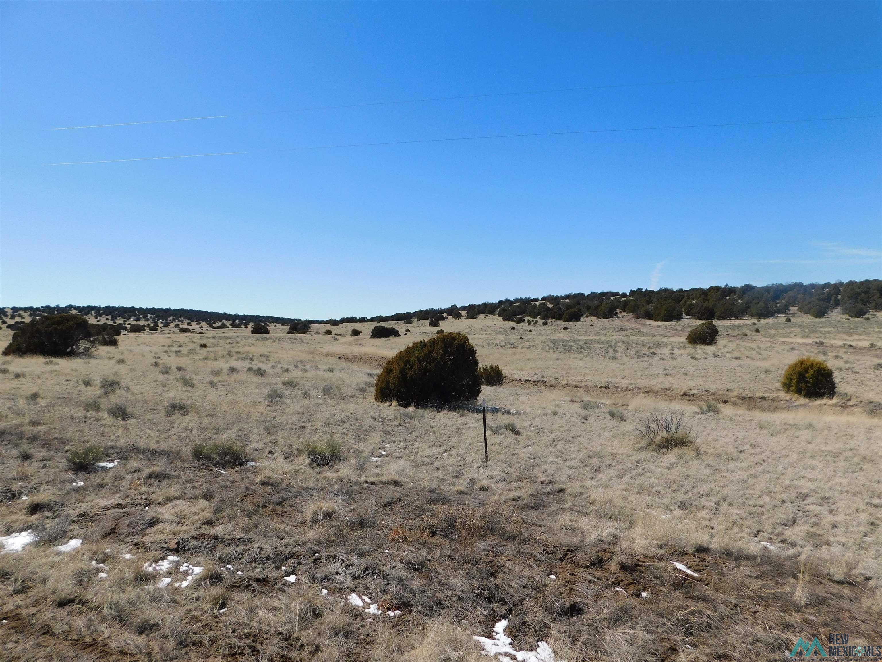 67 Bronco Boulevard, Quemado, New Mexico image 7