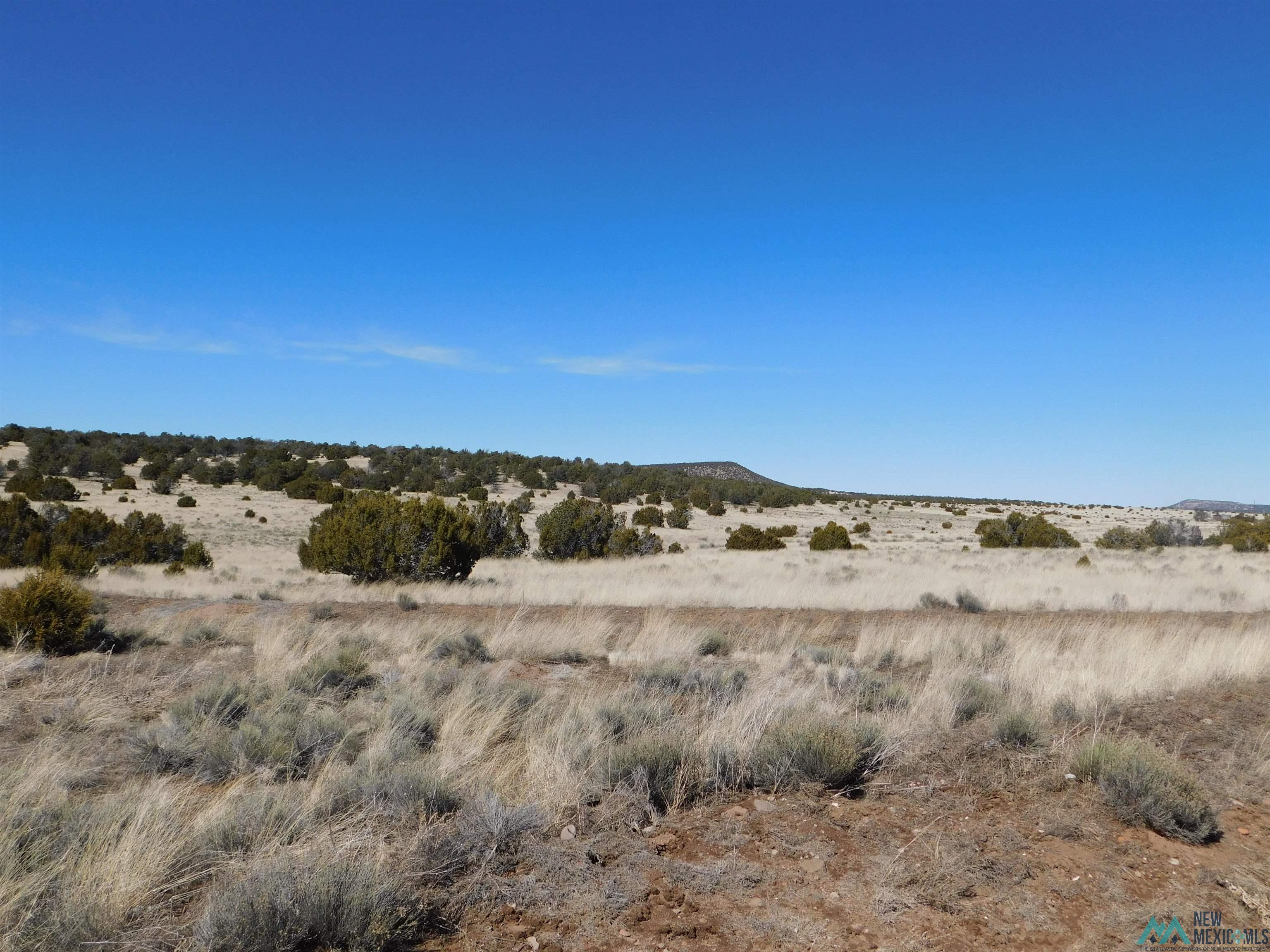 67 Bronco Boulevard, Quemado, New Mexico image 3