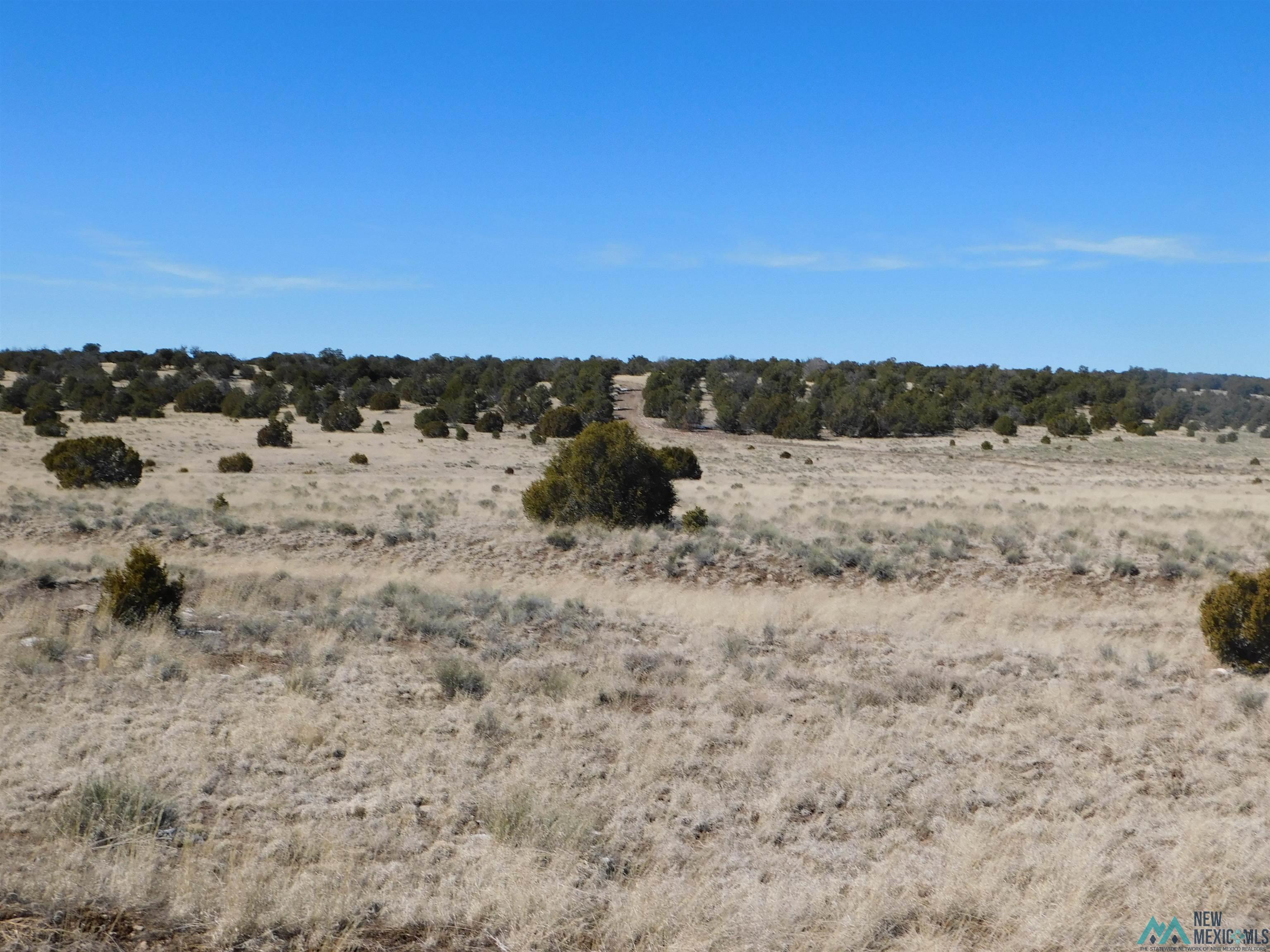 67 Bronco Boulevard, Quemado, New Mexico image 2