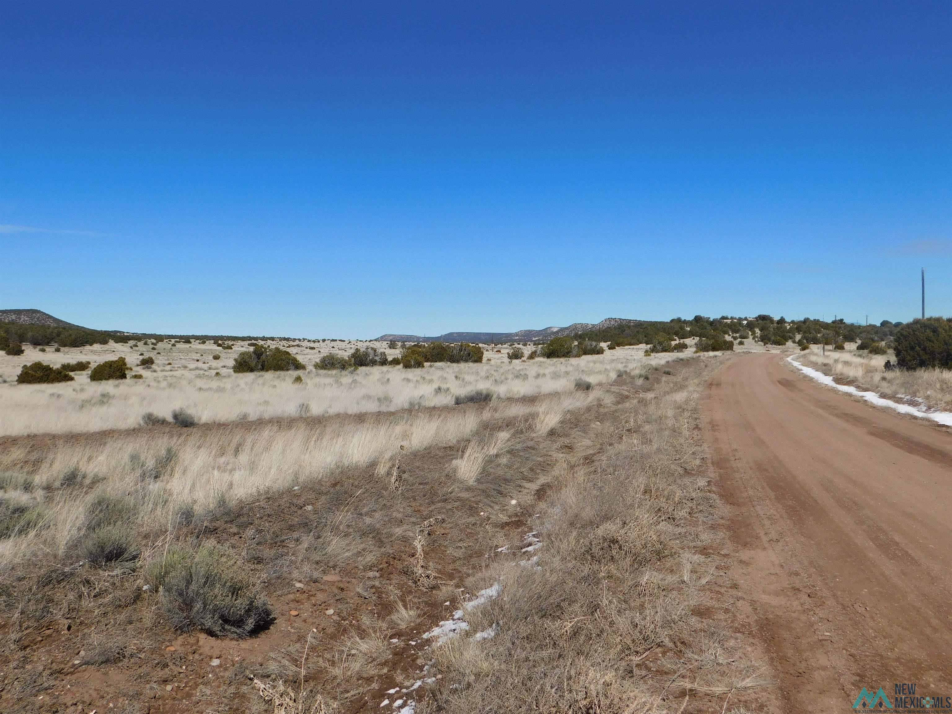 67 Bronco Boulevard, Quemado, New Mexico image 4