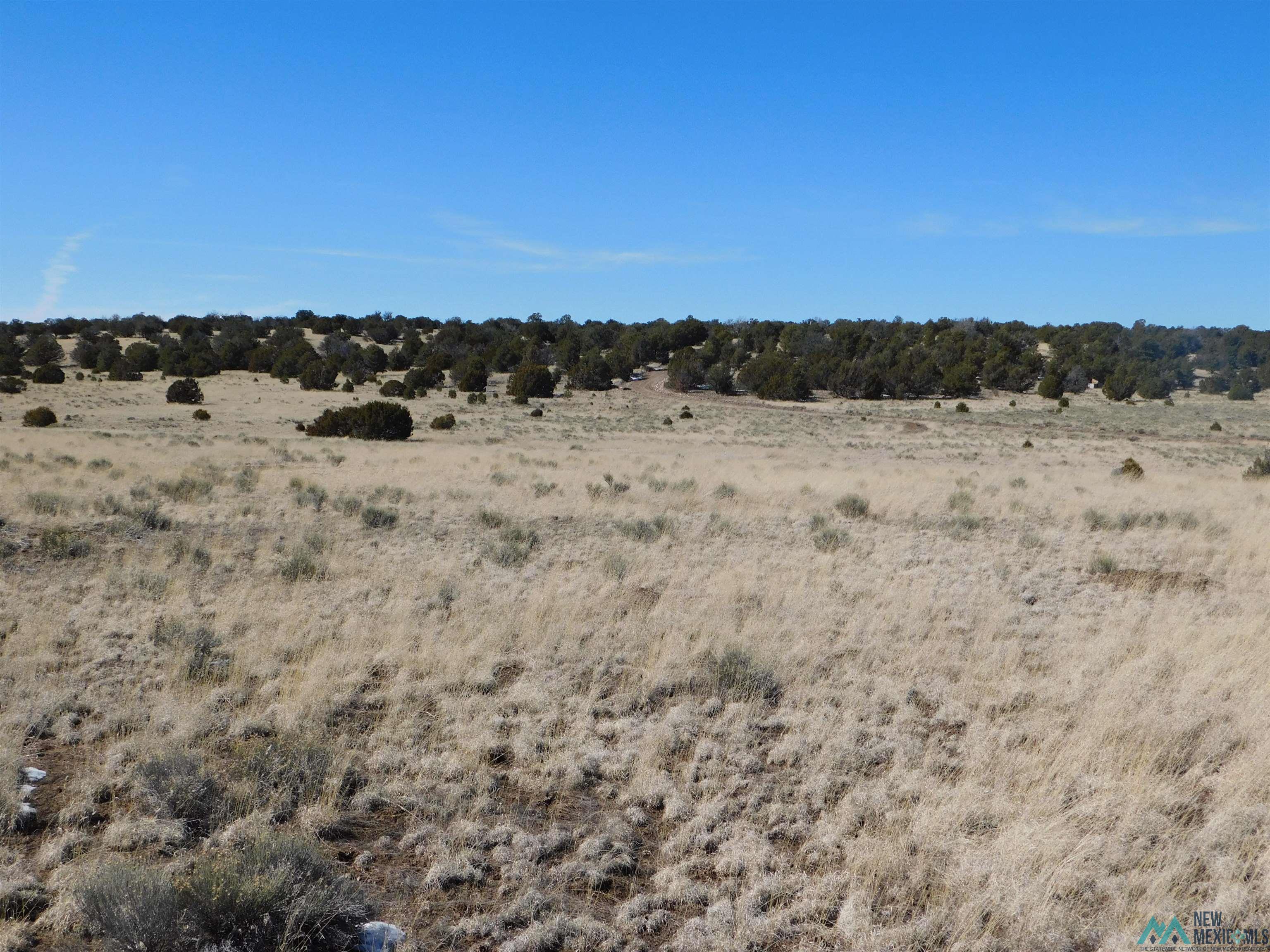 67 Bronco Boulevard, Quemado, New Mexico image 9