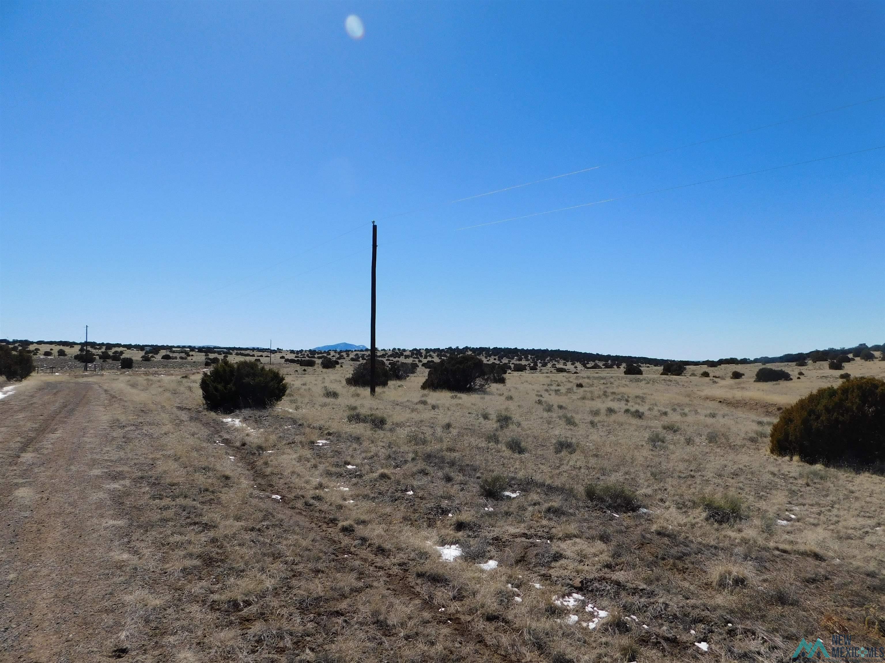 67 Bronco Boulevard, Quemado, New Mexico image 8