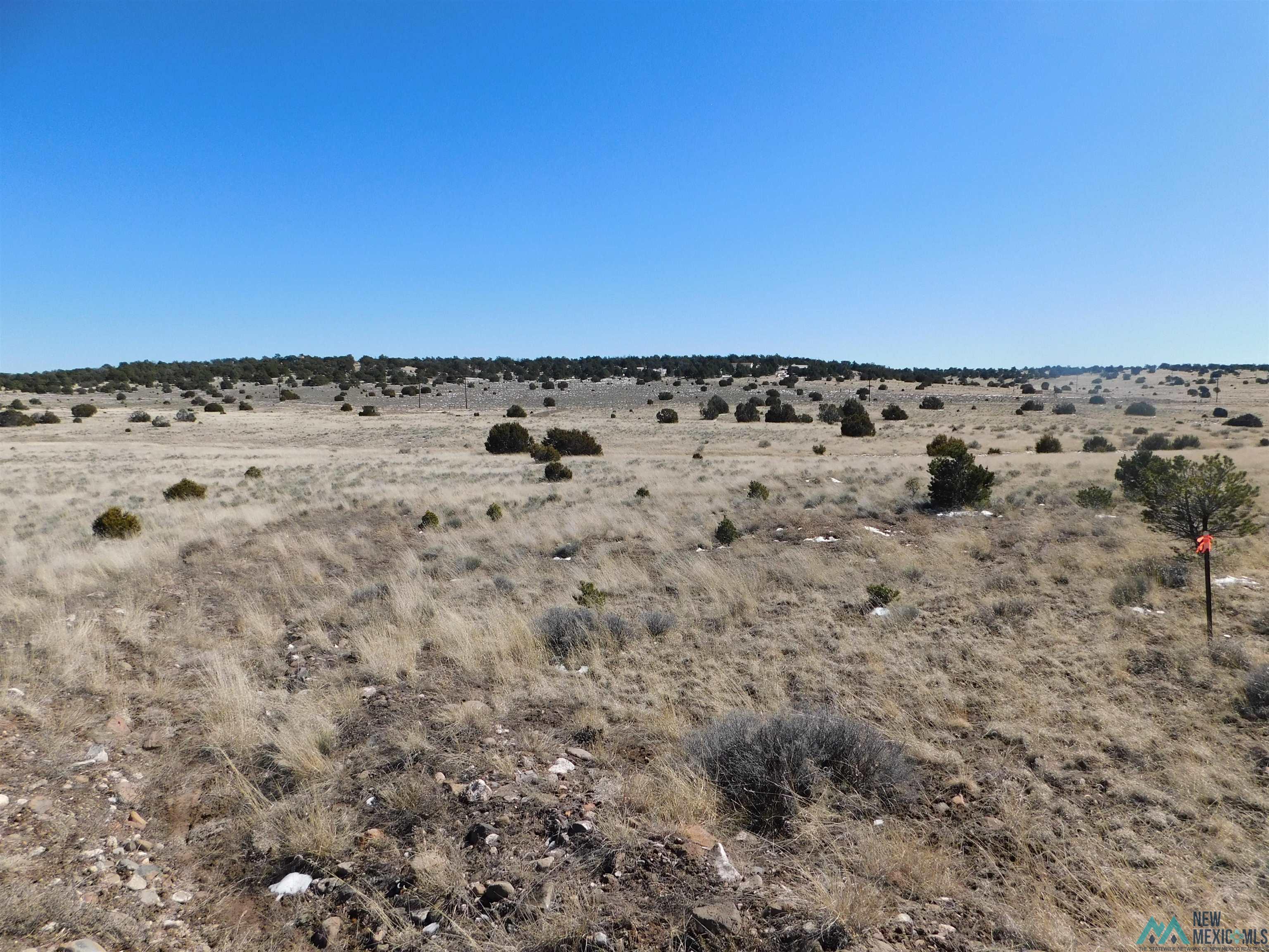 67 Bronco Boulevard, Quemado, New Mexico image 5