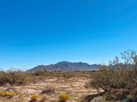 Vacant Land For Sale - 1163 SE Canto Road<br/> Luna County, Deming, NM 88030