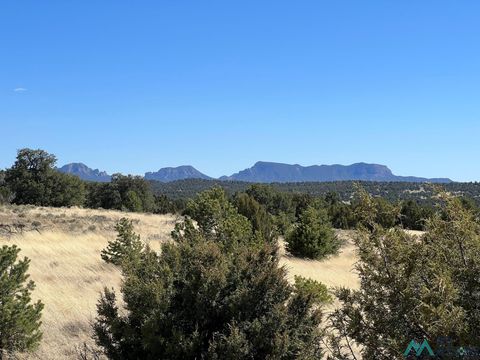 Vacant Land For Sale - 89 Ponderosa Loop<br/> Catron County, Pie Town, NM 87827