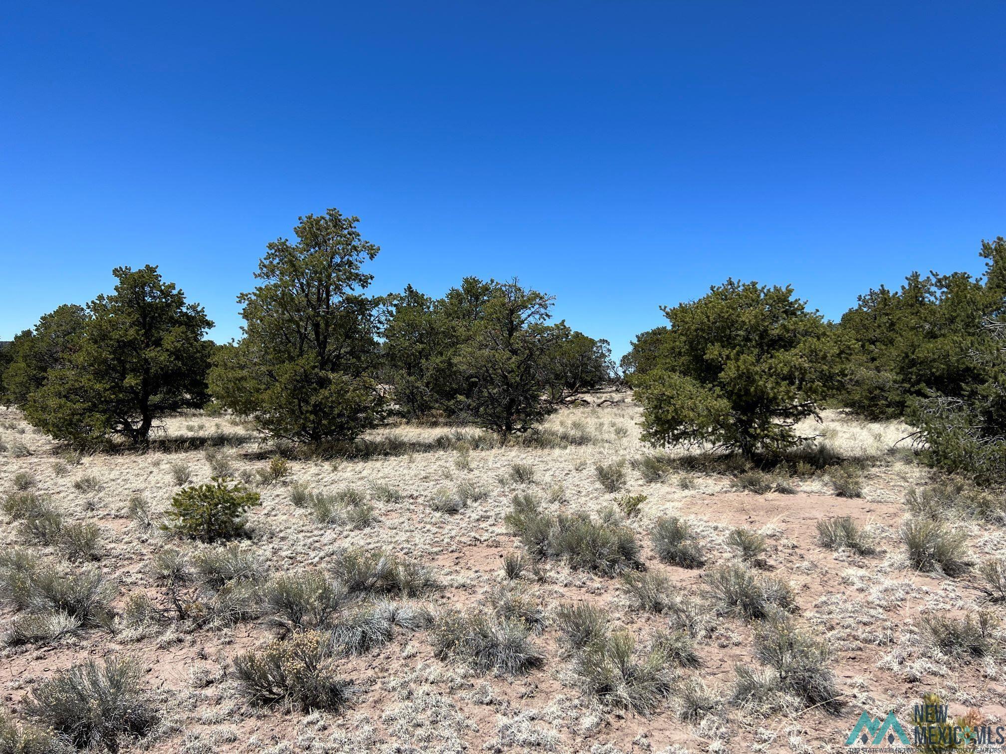 89 Ponderosa Loop, Pie Town, New Mexico image 2