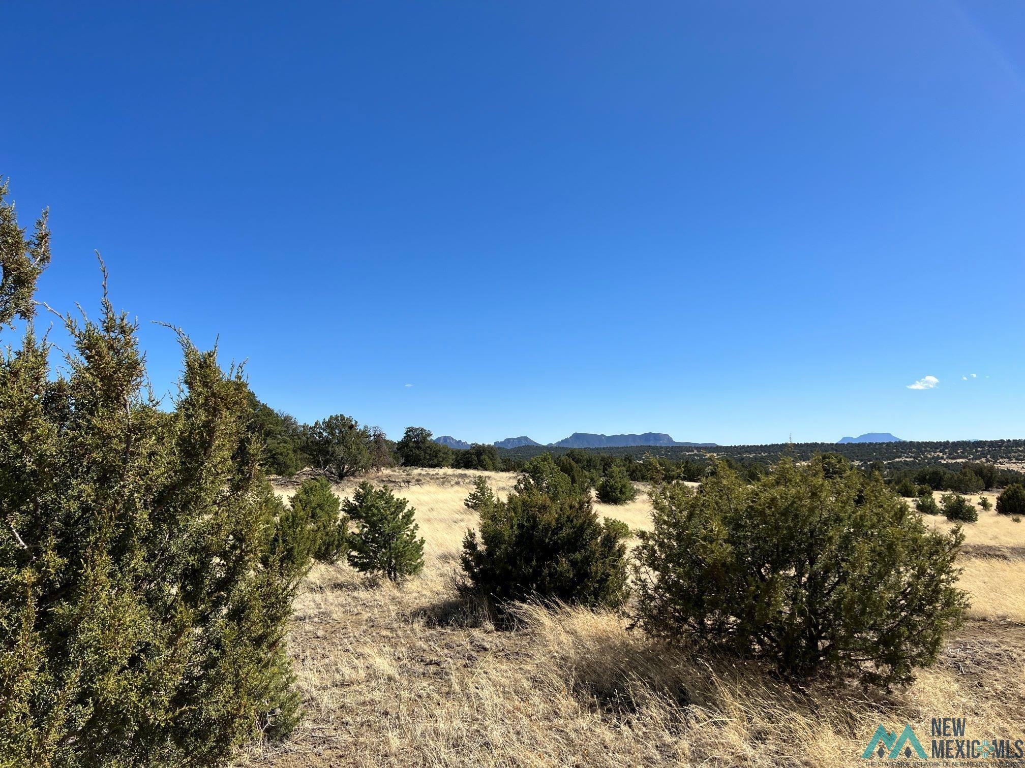 89 Ponderosa Loop, Pie Town, New Mexico image 15