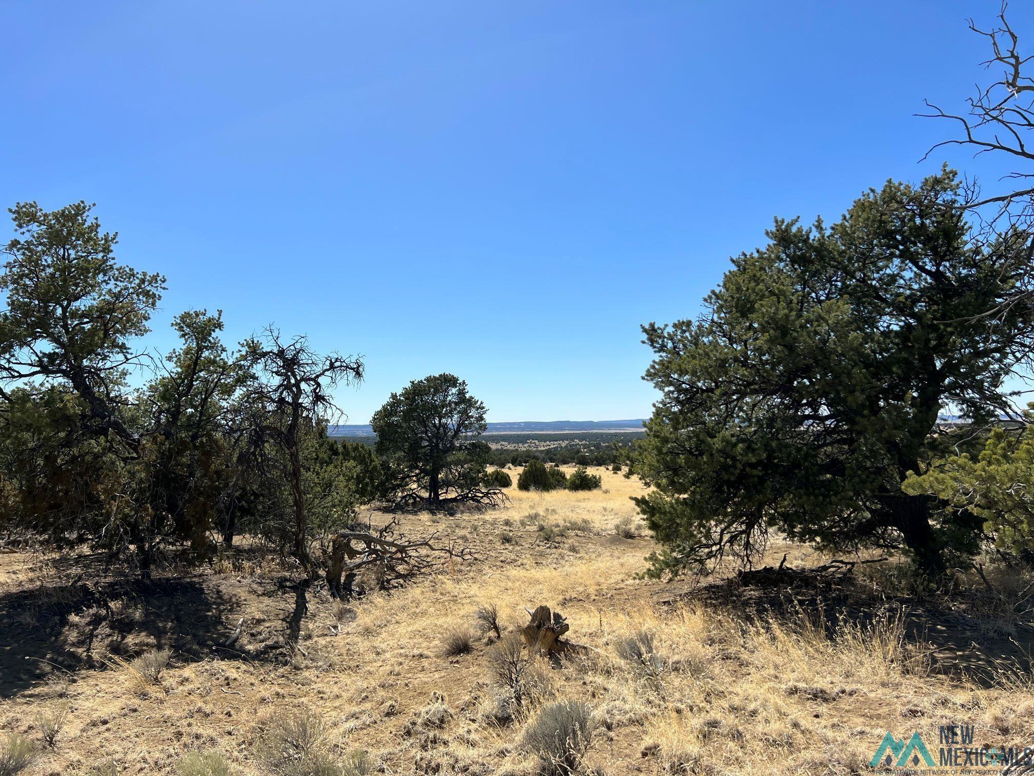 89 Ponderosa Loop, Pie Town, New Mexico image 7