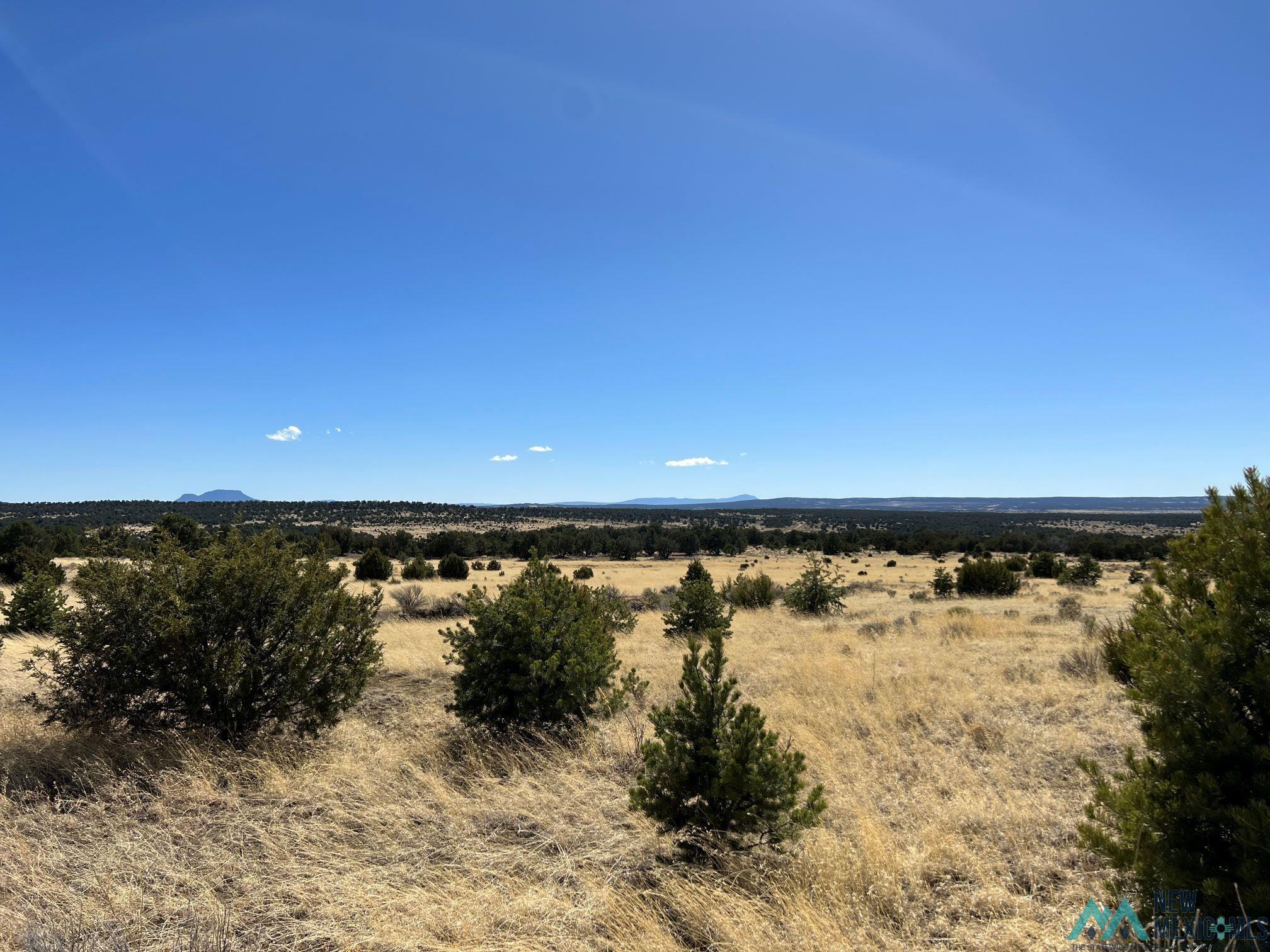 89 Ponderosa Loop, Pie Town, New Mexico image 14