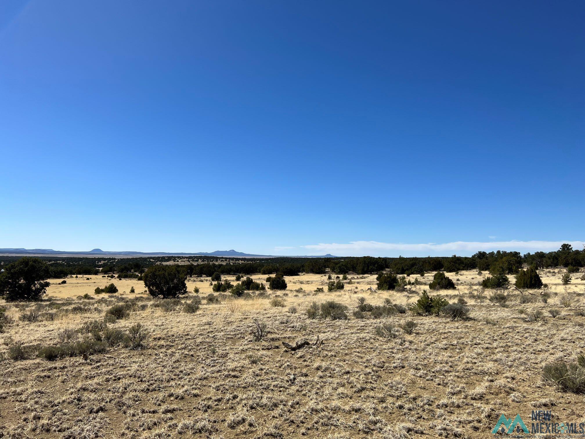 89 Ponderosa Loop, Pie Town, New Mexico image 13