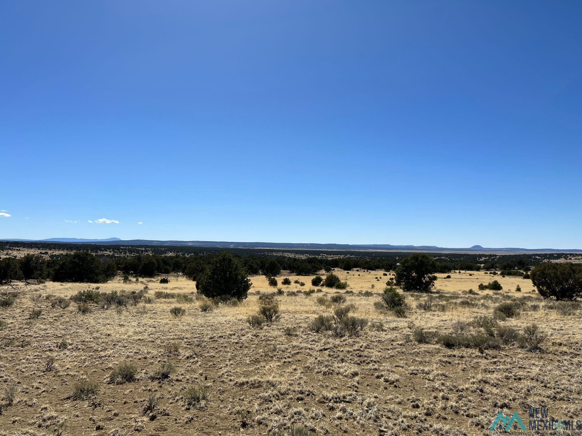 89 Ponderosa Loop, Pie Town, New Mexico image 12