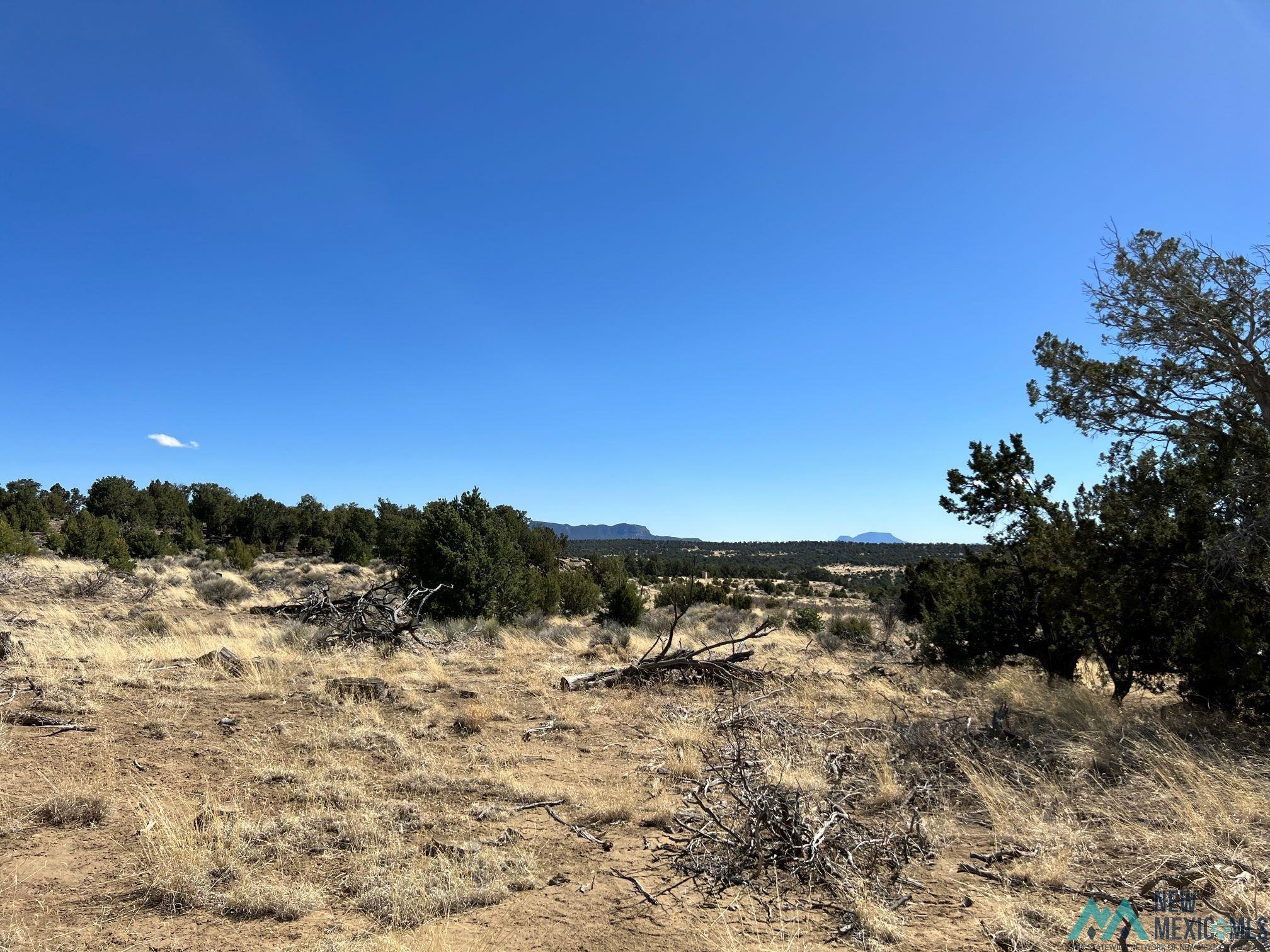 89 Ponderosa Loop, Pie Town, New Mexico image 11