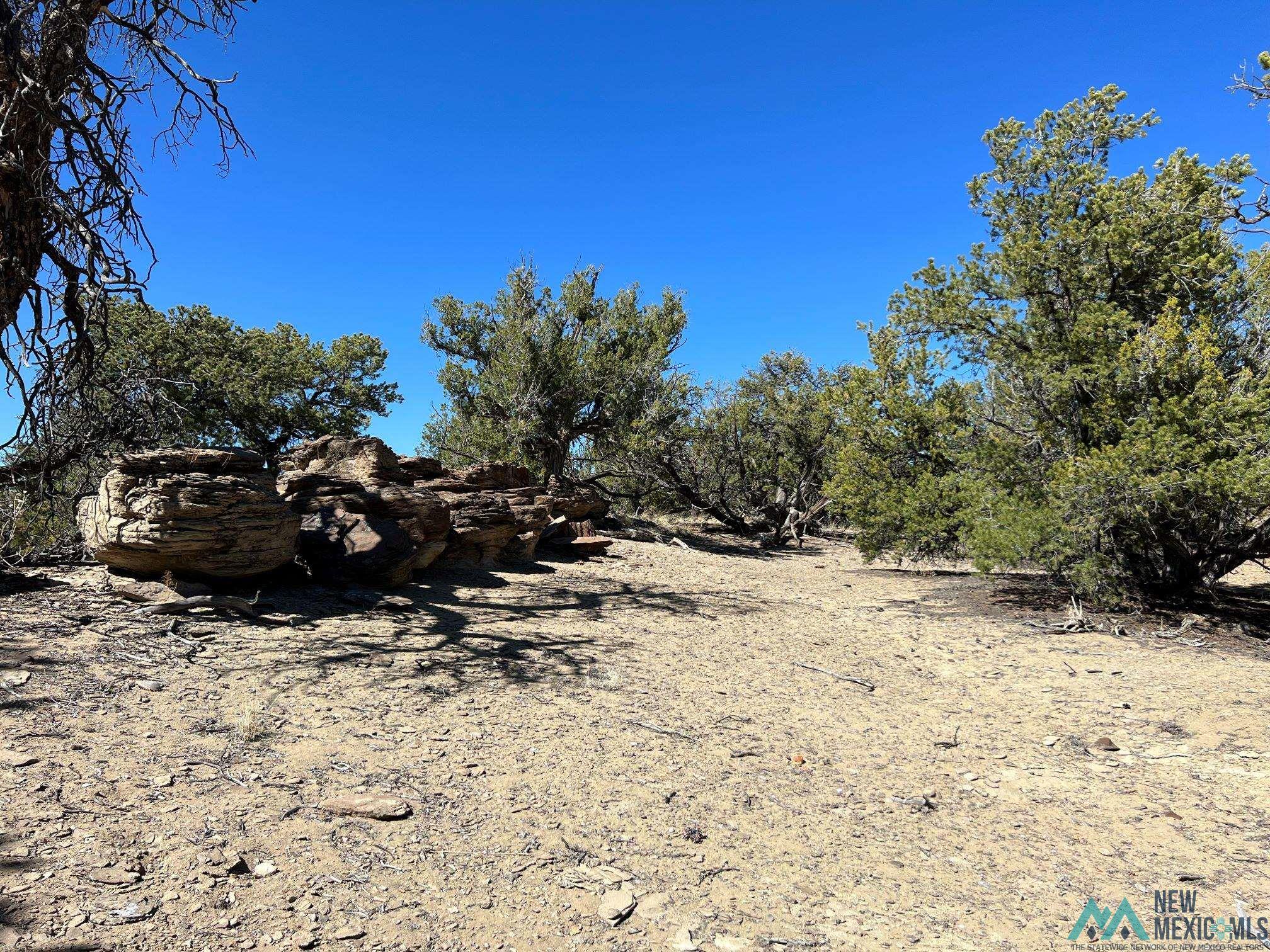 89 Ponderosa Loop, Pie Town, New Mexico image 10