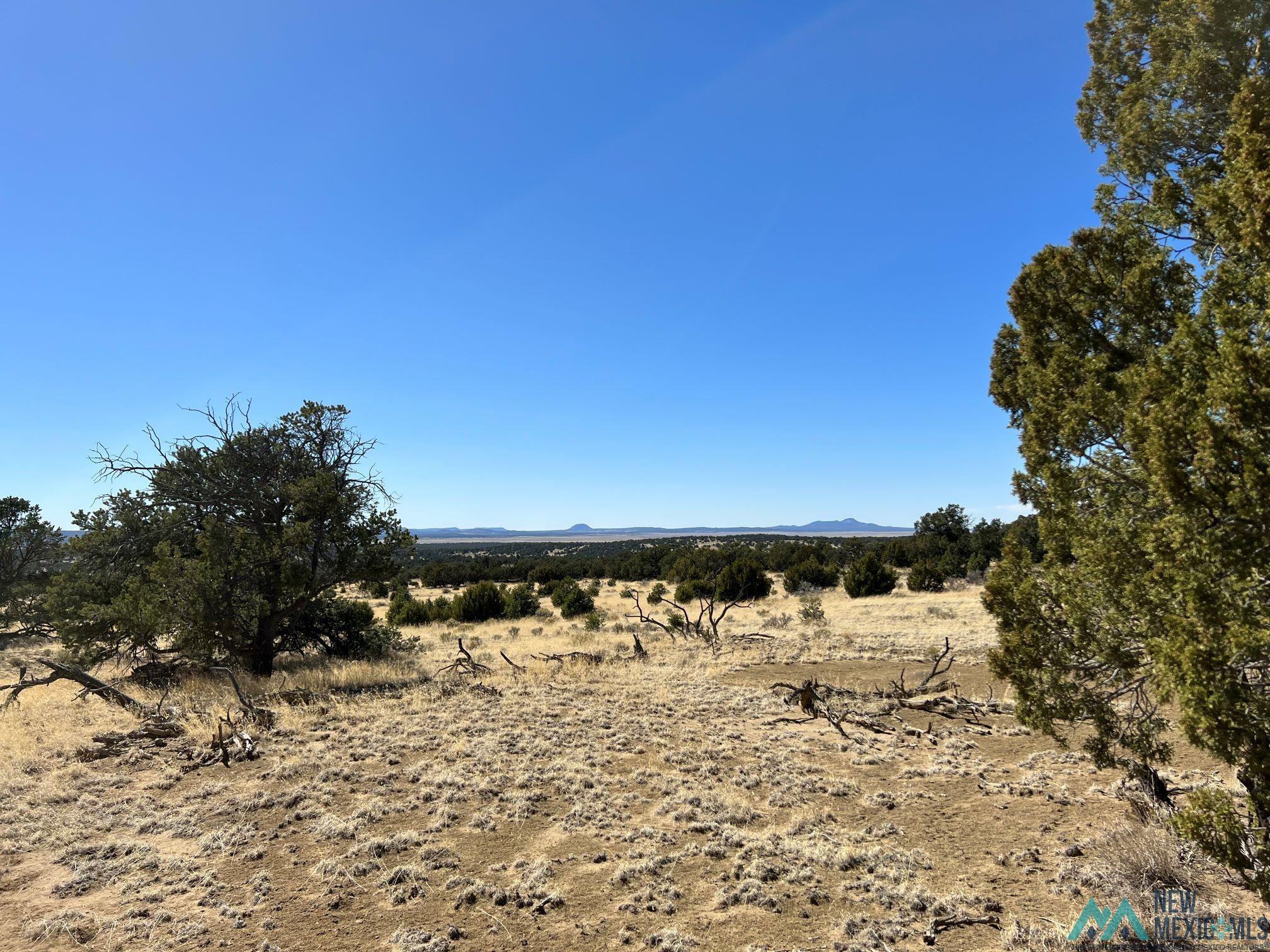 89 Ponderosa Loop, Pie Town, New Mexico image 6