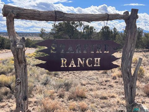 Vacant Land For Sale - 100 Canyon Drive<br/> Catron County, Quemado, NM 87829