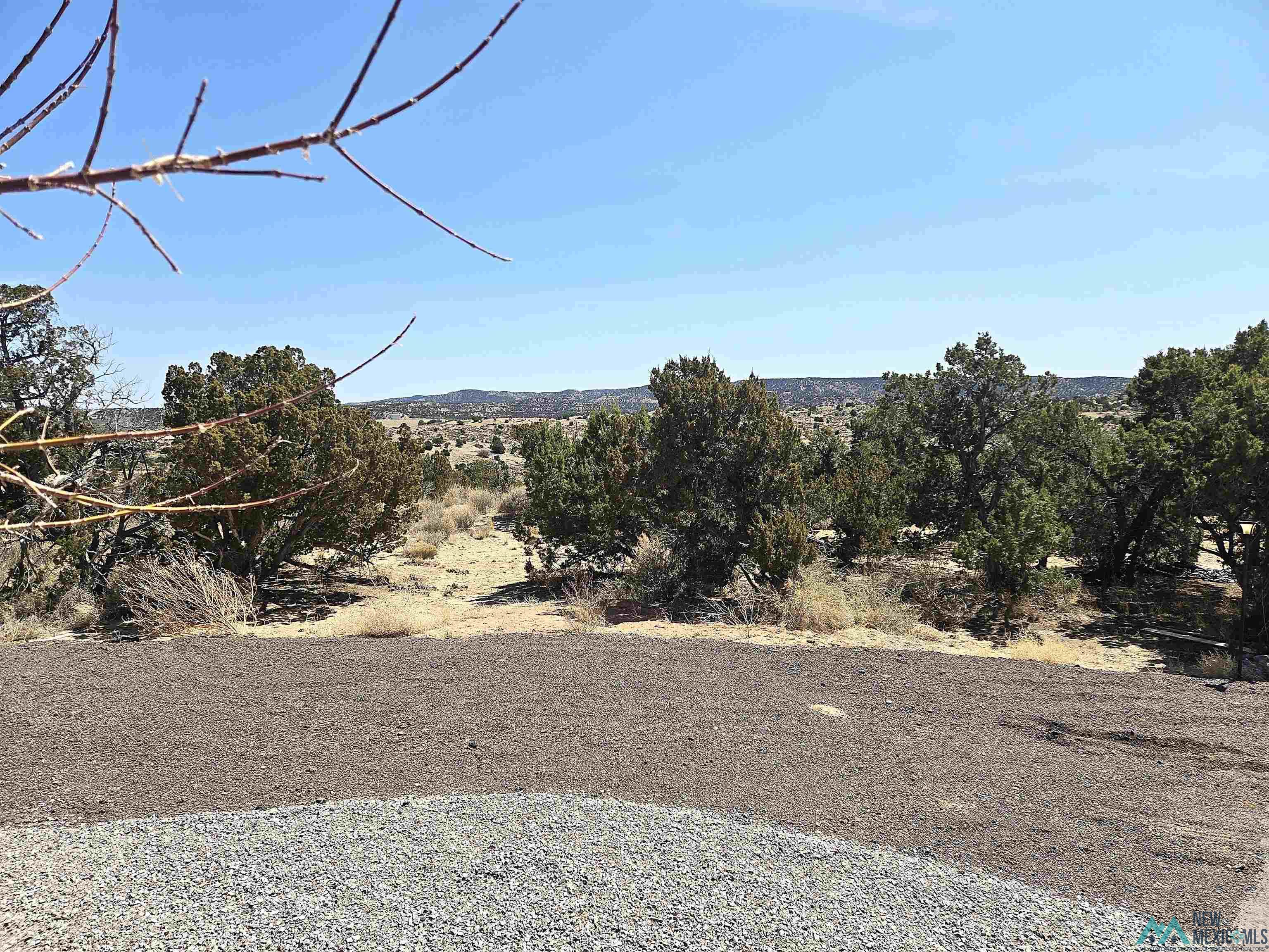 103 Catalpa Road, Gallup, New Mexico image 2