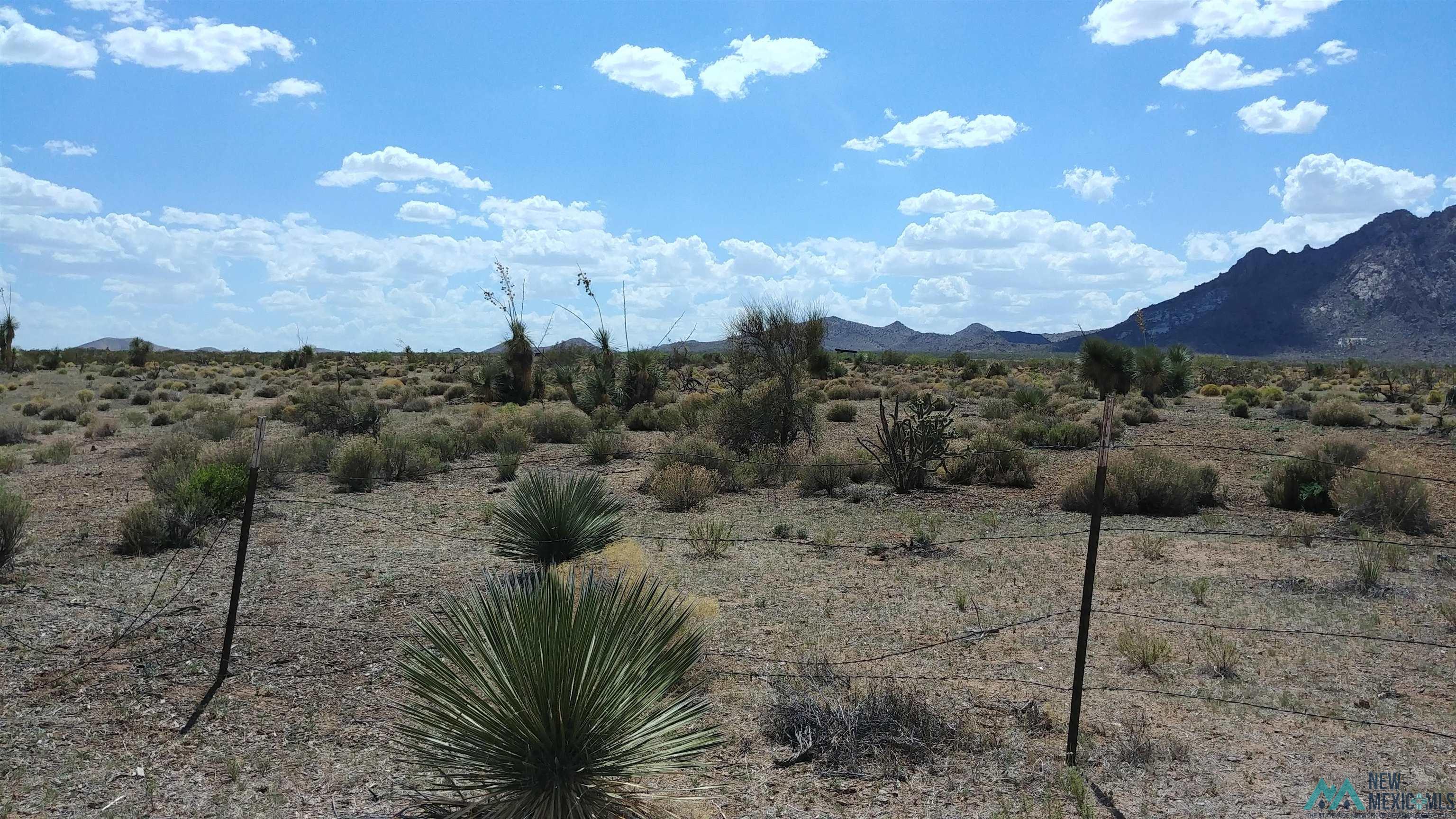 Xxxx Blazing Trail Se, Deming, New Mexico image 13