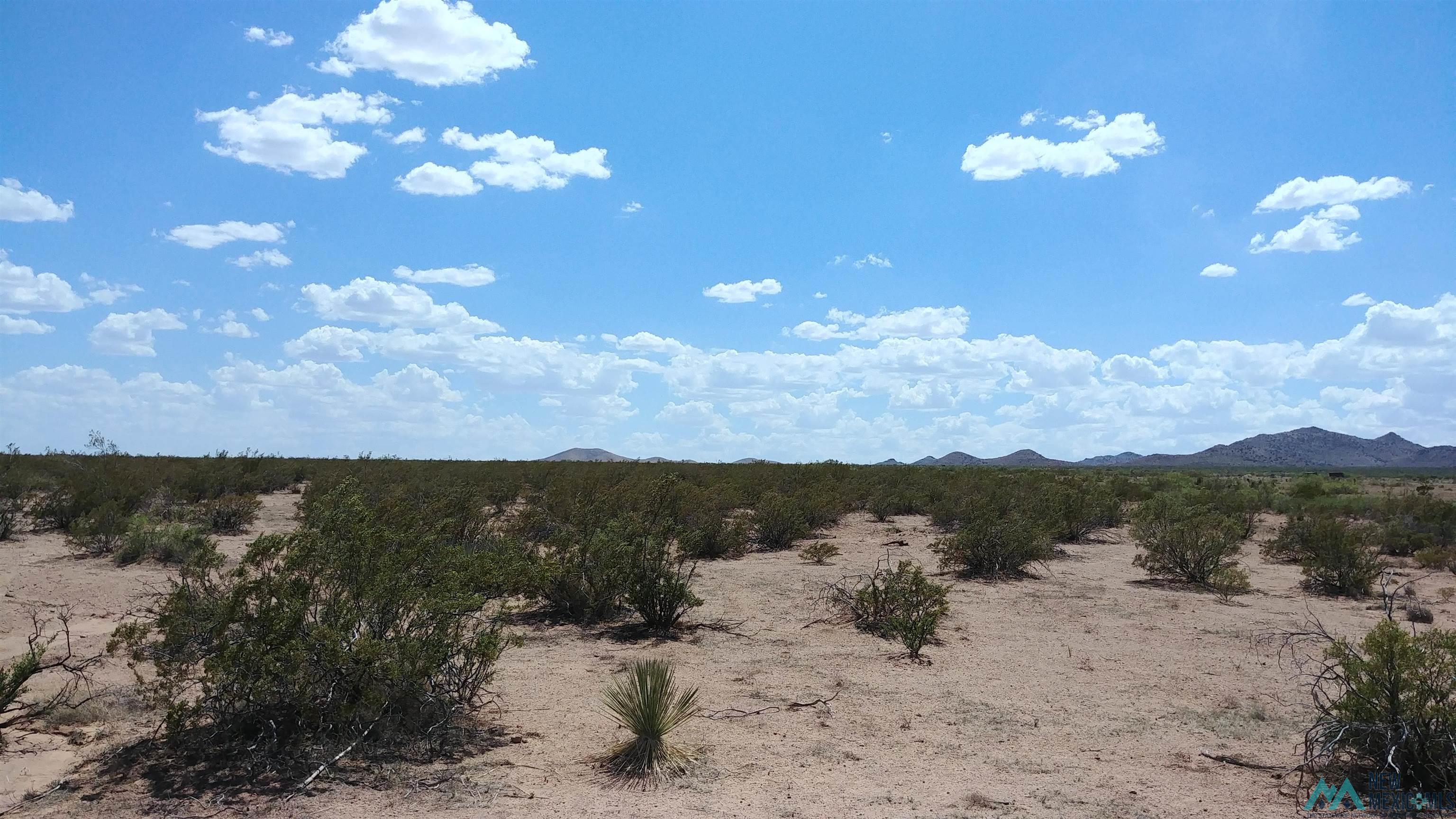 Xxxx Blazing Trail Se, Deming, New Mexico image 3