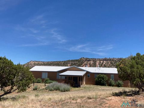Vacant Land For Sale - 92 Mariano Road<br/> Catron County, Quemado, NM 87829