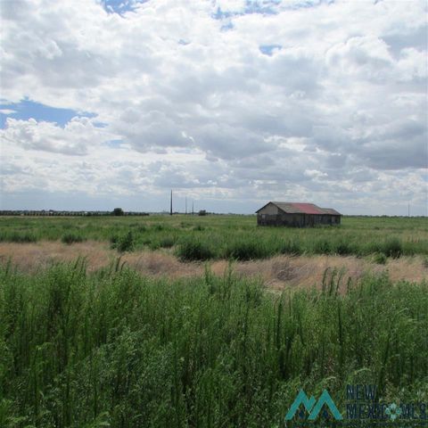 Vacant Land For Sale - 444 S Roosevelt Road O<br/> Portales, NM 88130