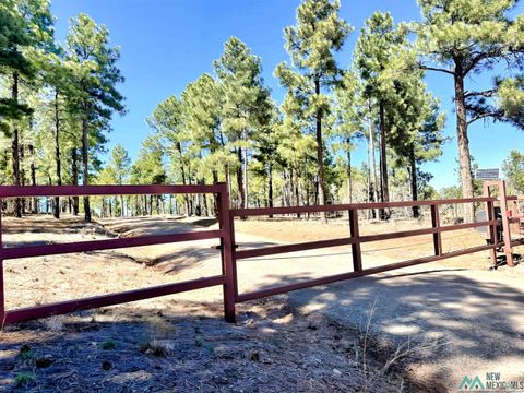 Vacant Land For Sale - 30 S Verga Drive<br/> Bernalillo County, Tijeras, NM 87059
