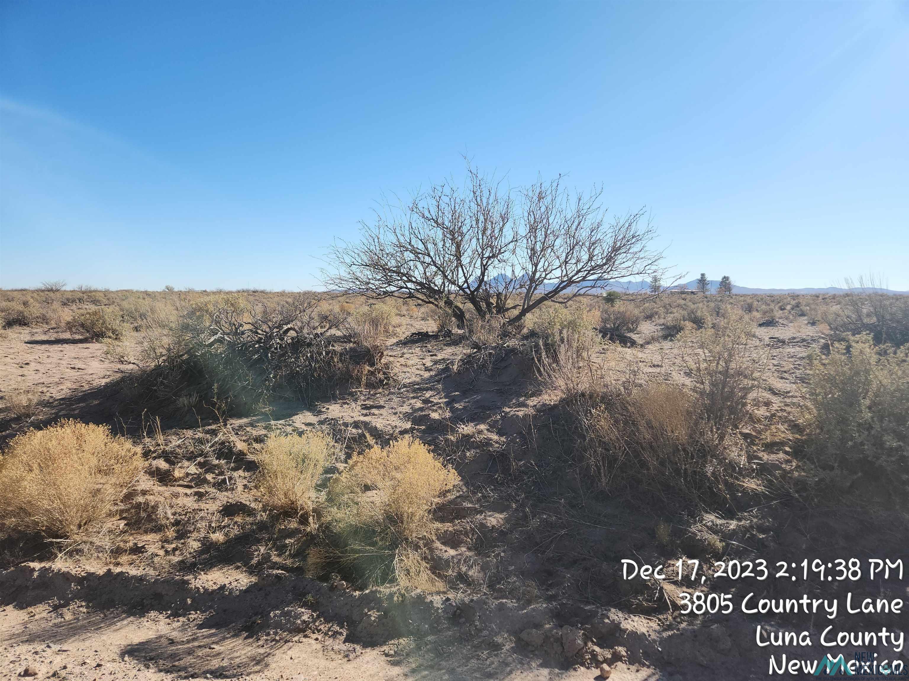 00 Madison Roads, Deming, New Mexico image 6