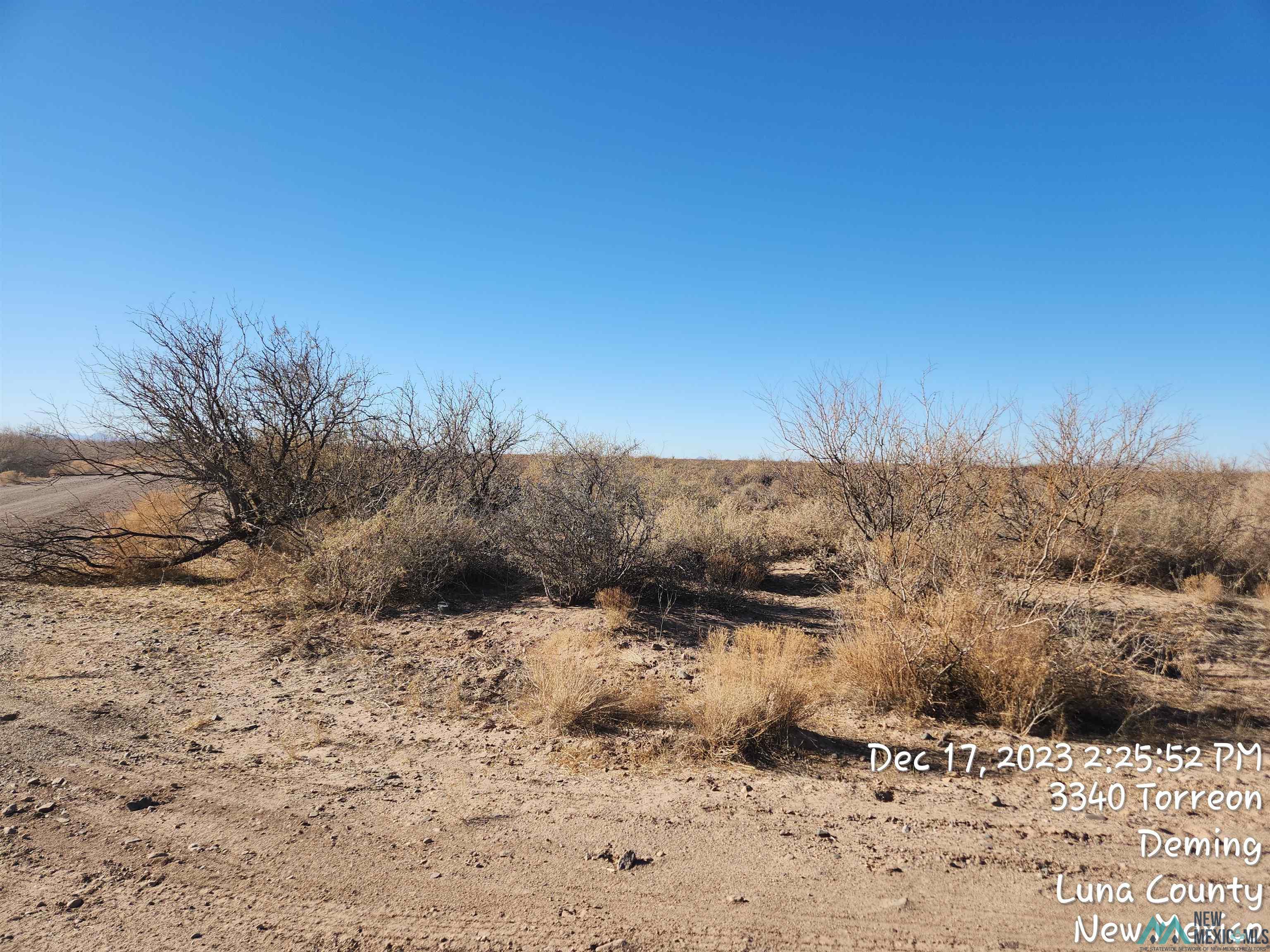 00 Madison Roads, Deming, New Mexico image 9