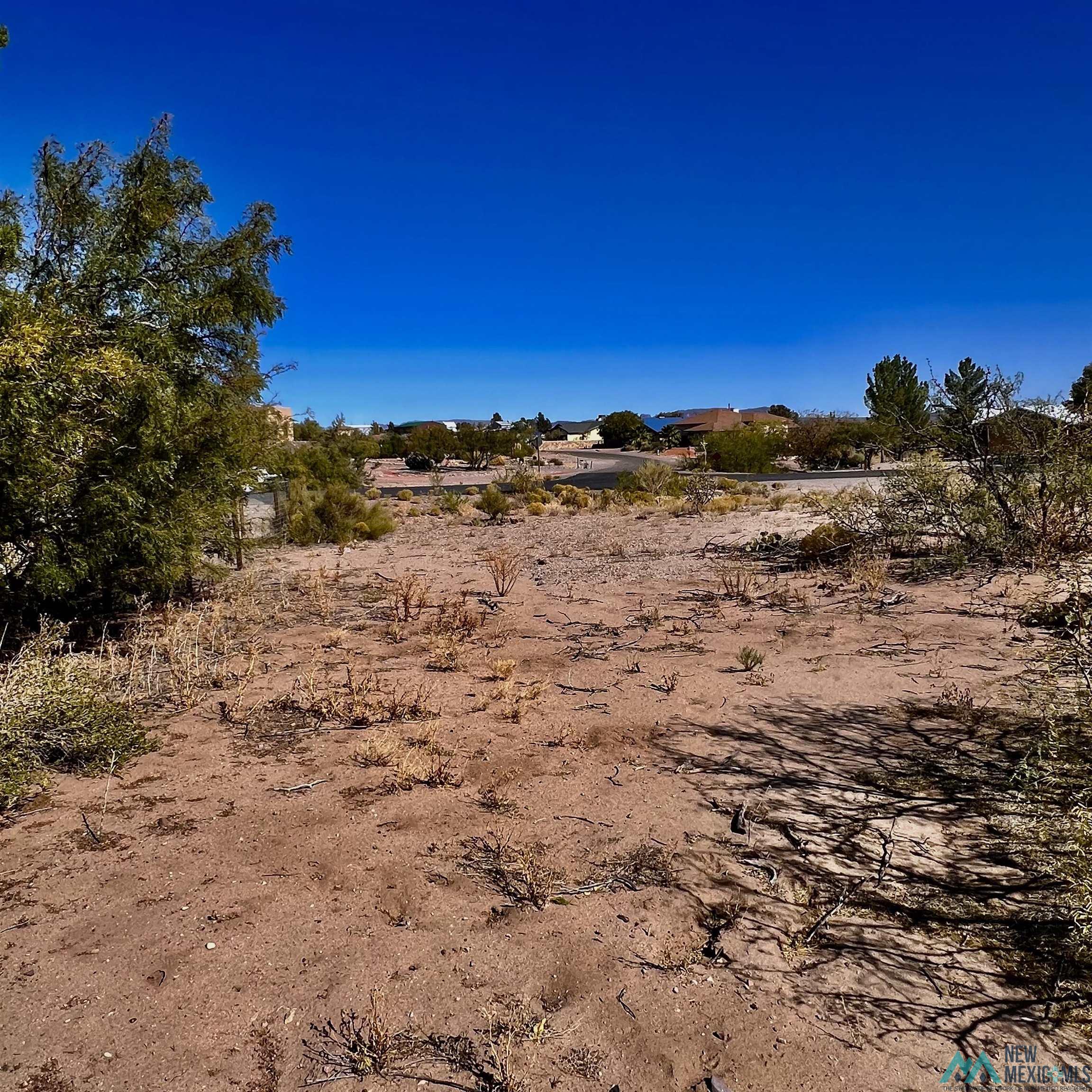 Lot 3 Hawthorne Boulevard, Elephant Butte, Texas image 1