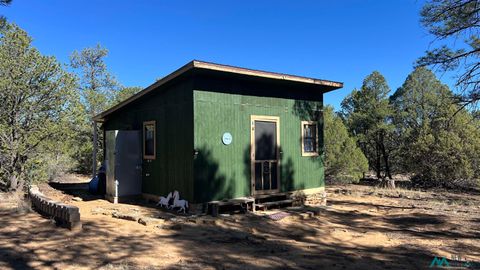 Vacant Land For Sale - 1017 Wild Horse Ranch Road<br/> Catron County, Pie Town, NM 87827