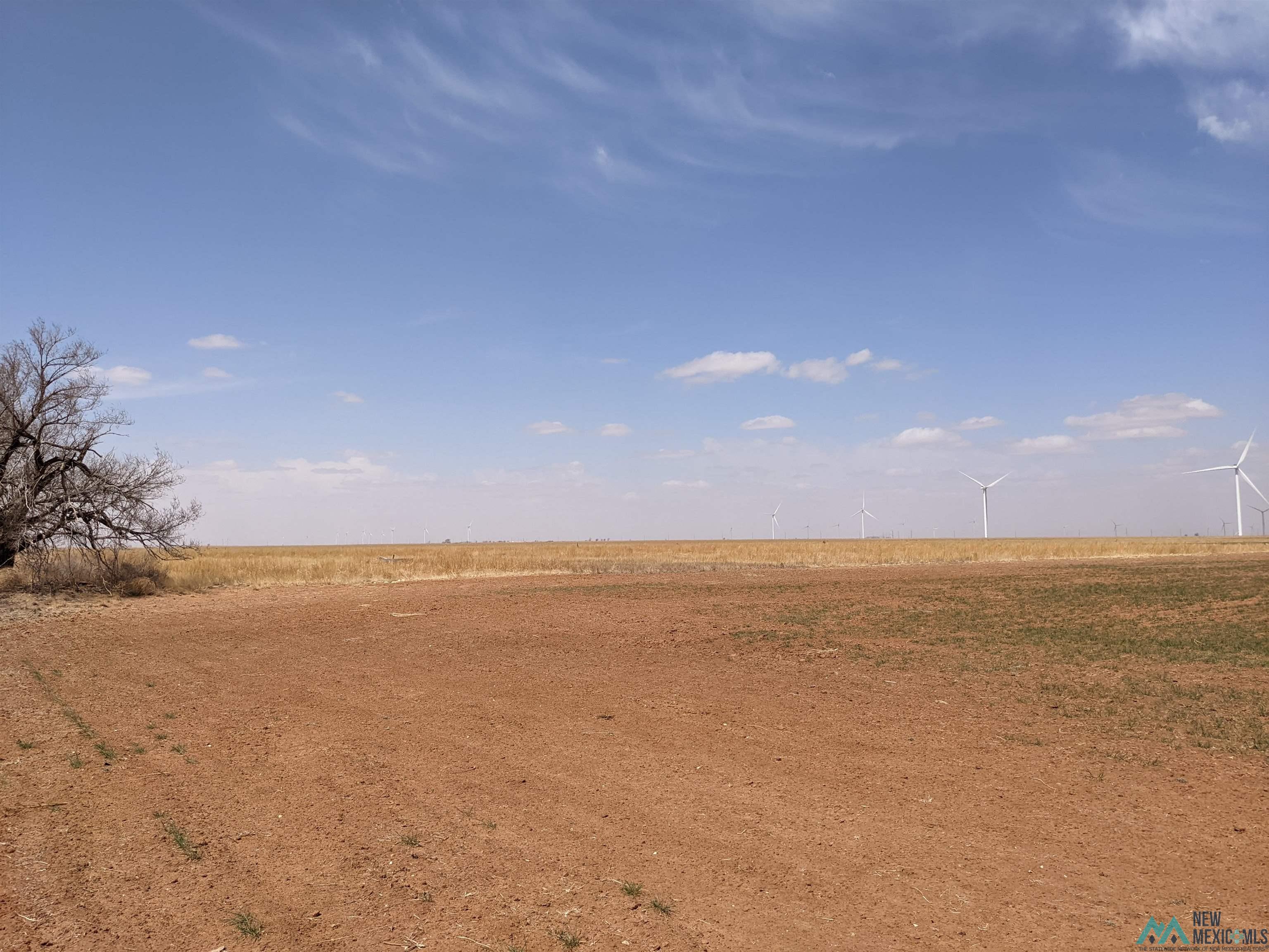 0 NM 458, Causey, New Mexico image 9