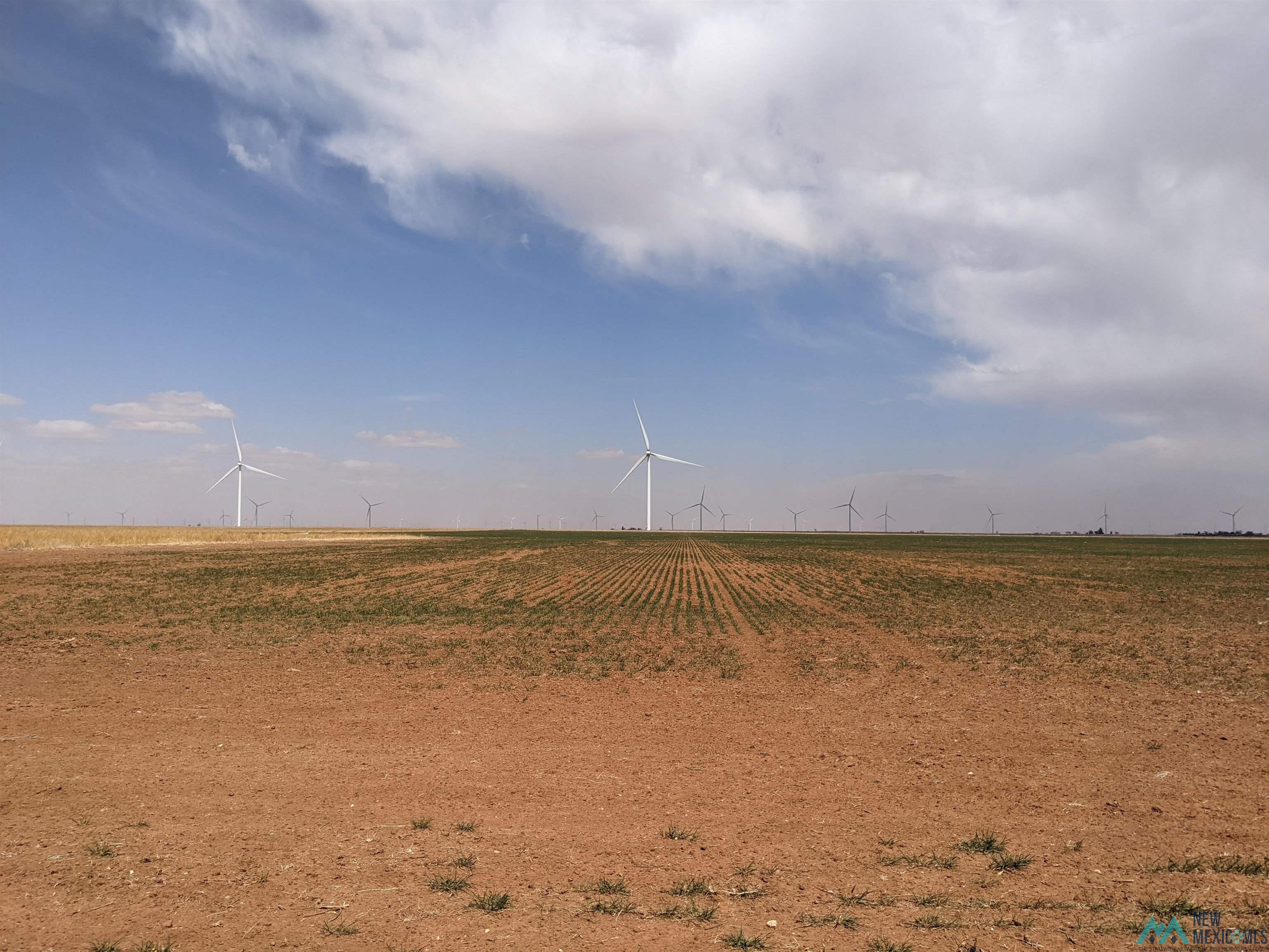 0 NM 458, Causey, New Mexico image 6