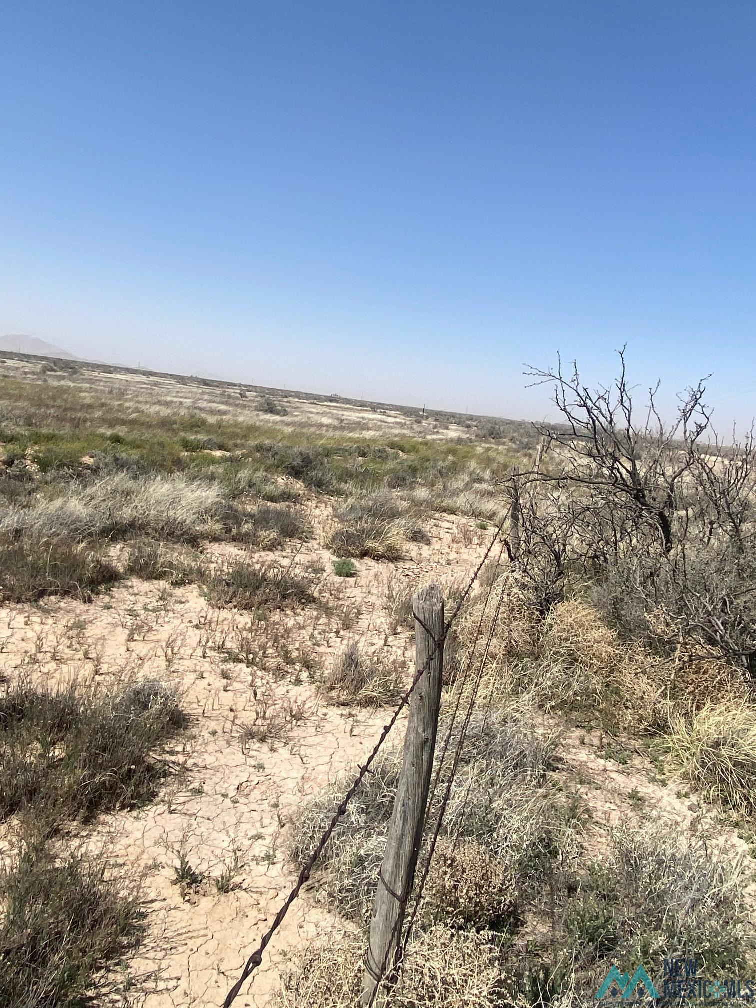 Camoino Doce Road, Deming, New Mexico image 4