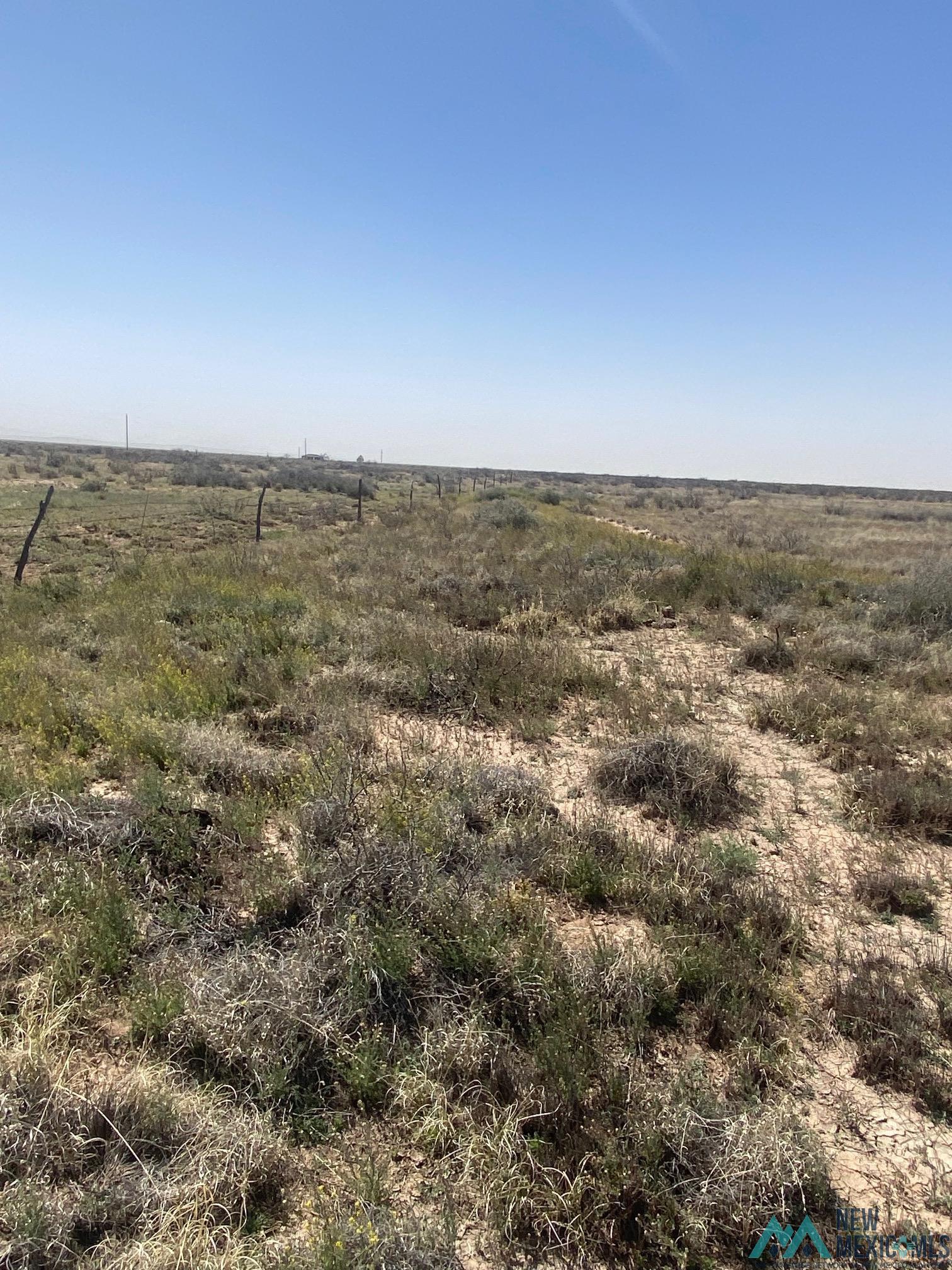 Camoino Doce Road, Deming, New Mexico image 5