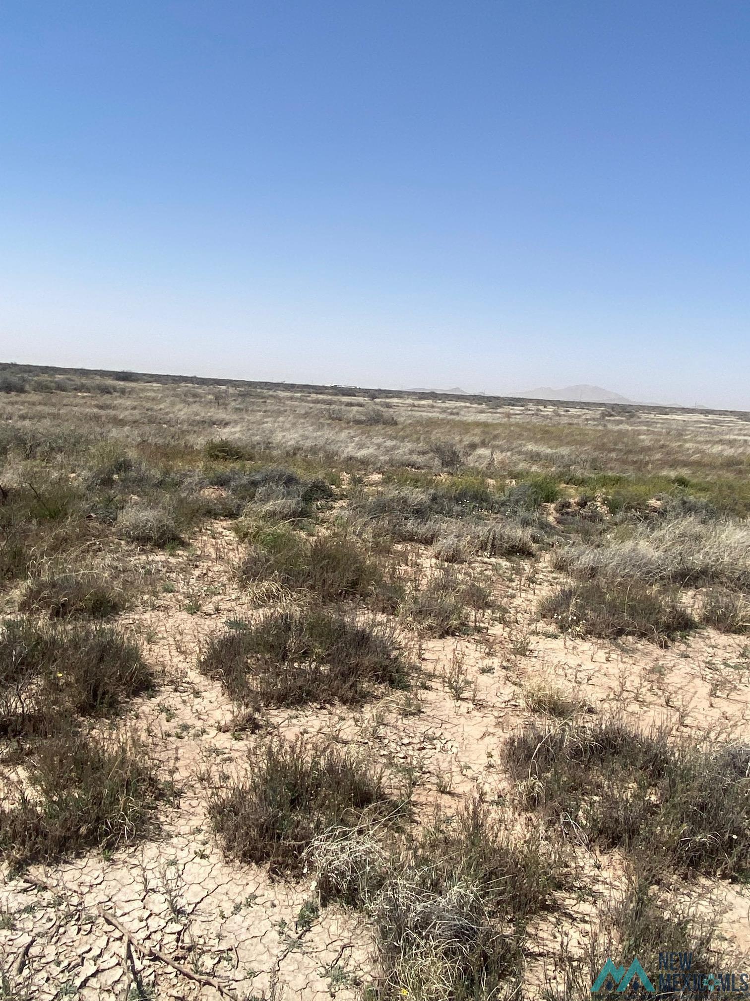 Camoino Doce Road, Deming, New Mexico image 3