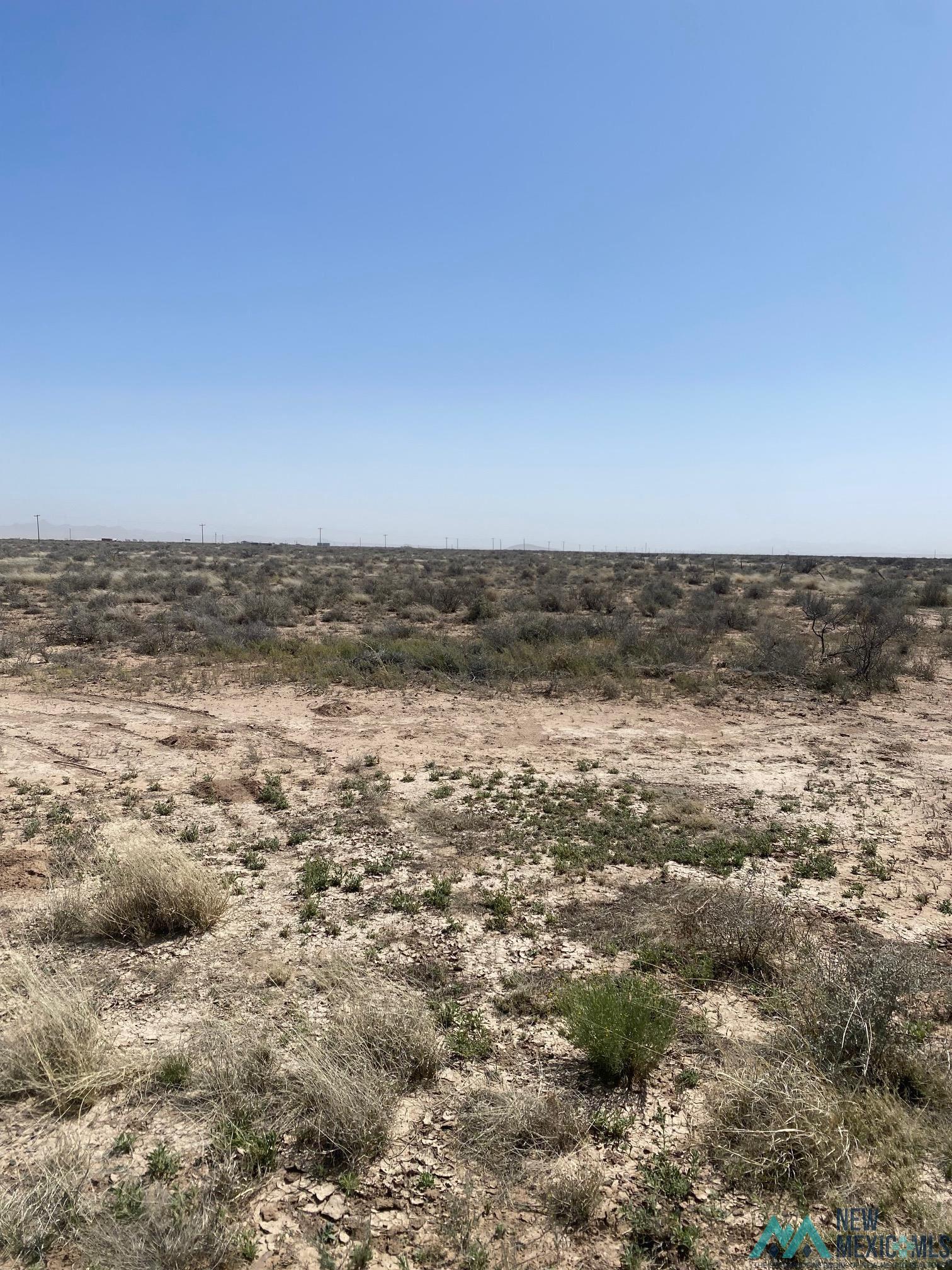 Camoino Doce Road, Deming, New Mexico image 6