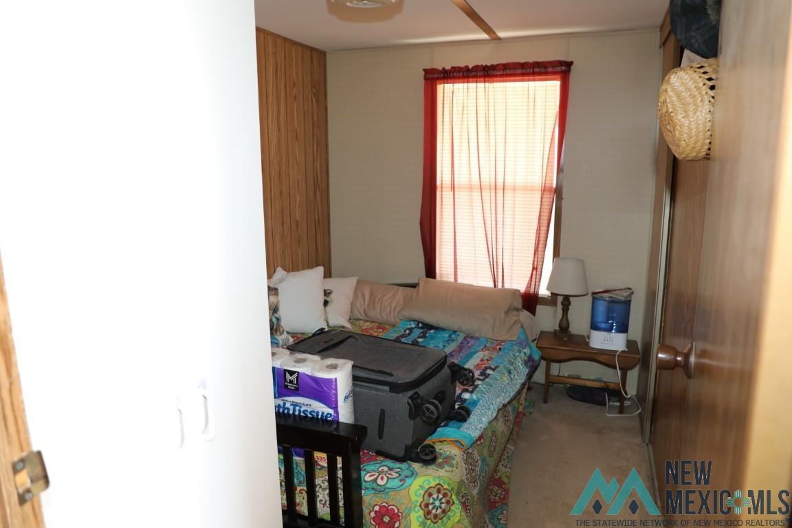 402 Hermosa Drive, Elephant Butte, Texas image 18