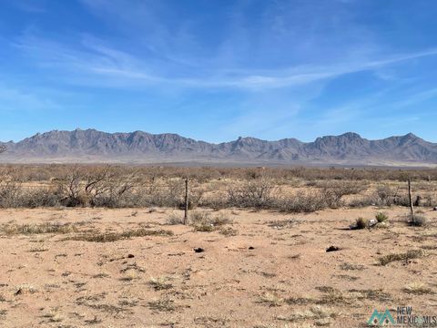 Vacant Land For Sale - Purple Sage Rd Sw<br/> Luna County, Deming, NM 88030