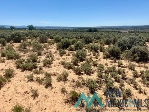 Vacant Land For Sale - 3231 Nm 112 Highway<br/> Rio Arriba County, Tierra Amarilla, NM 87575