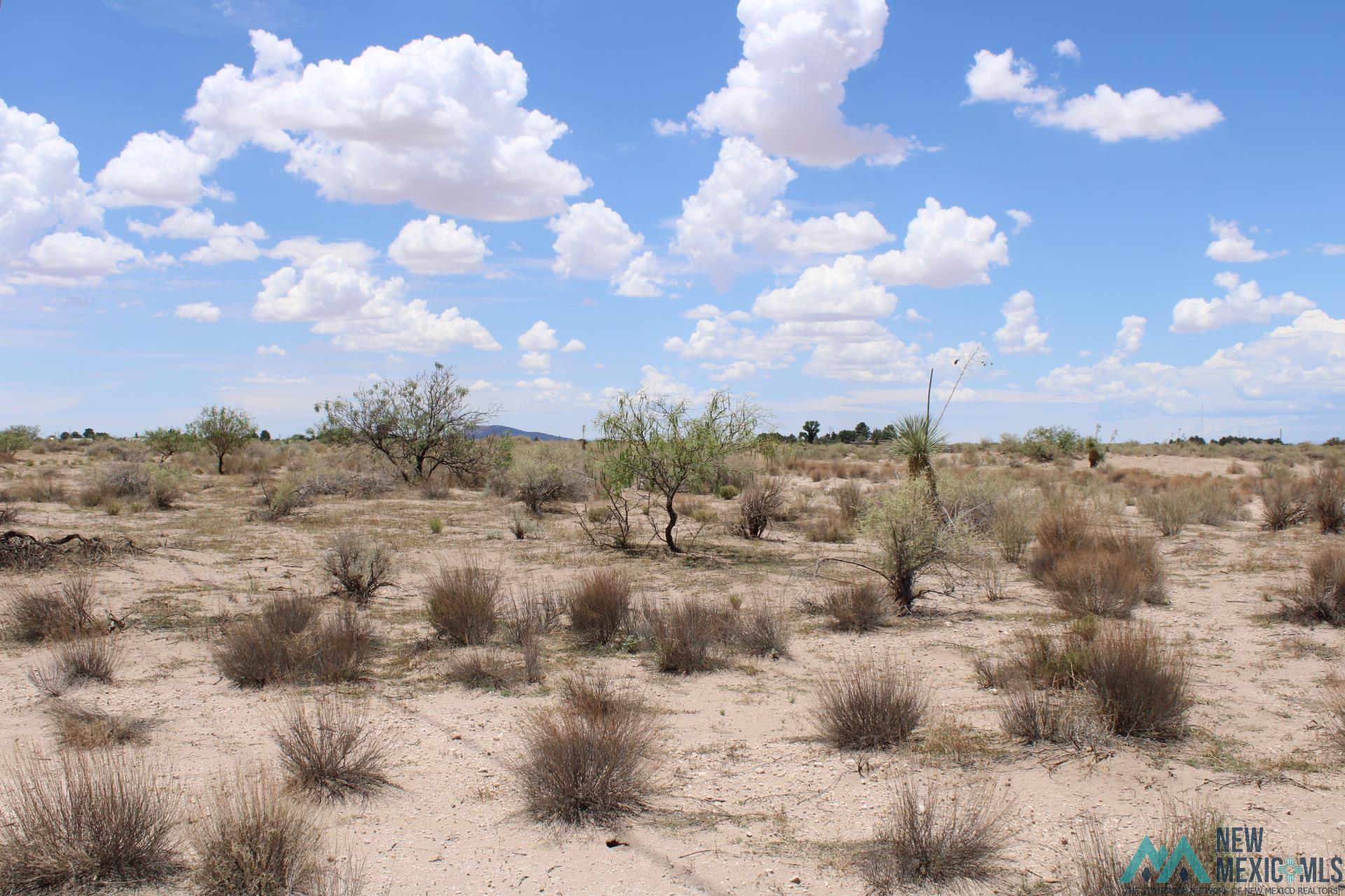 Tomorrow Land Estates Bk D, Deming, New Mexico image 7