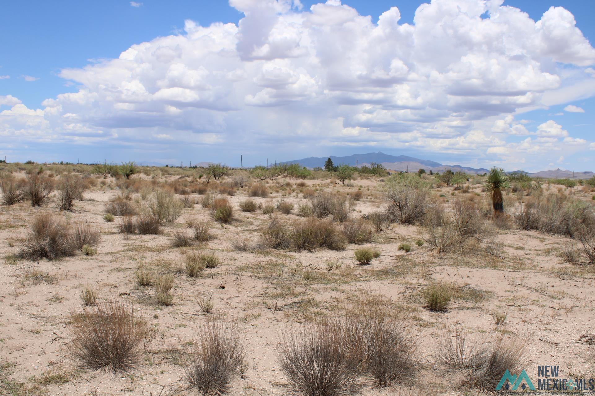 Tomorrow Land Estates Bk D, Deming, New Mexico image 8