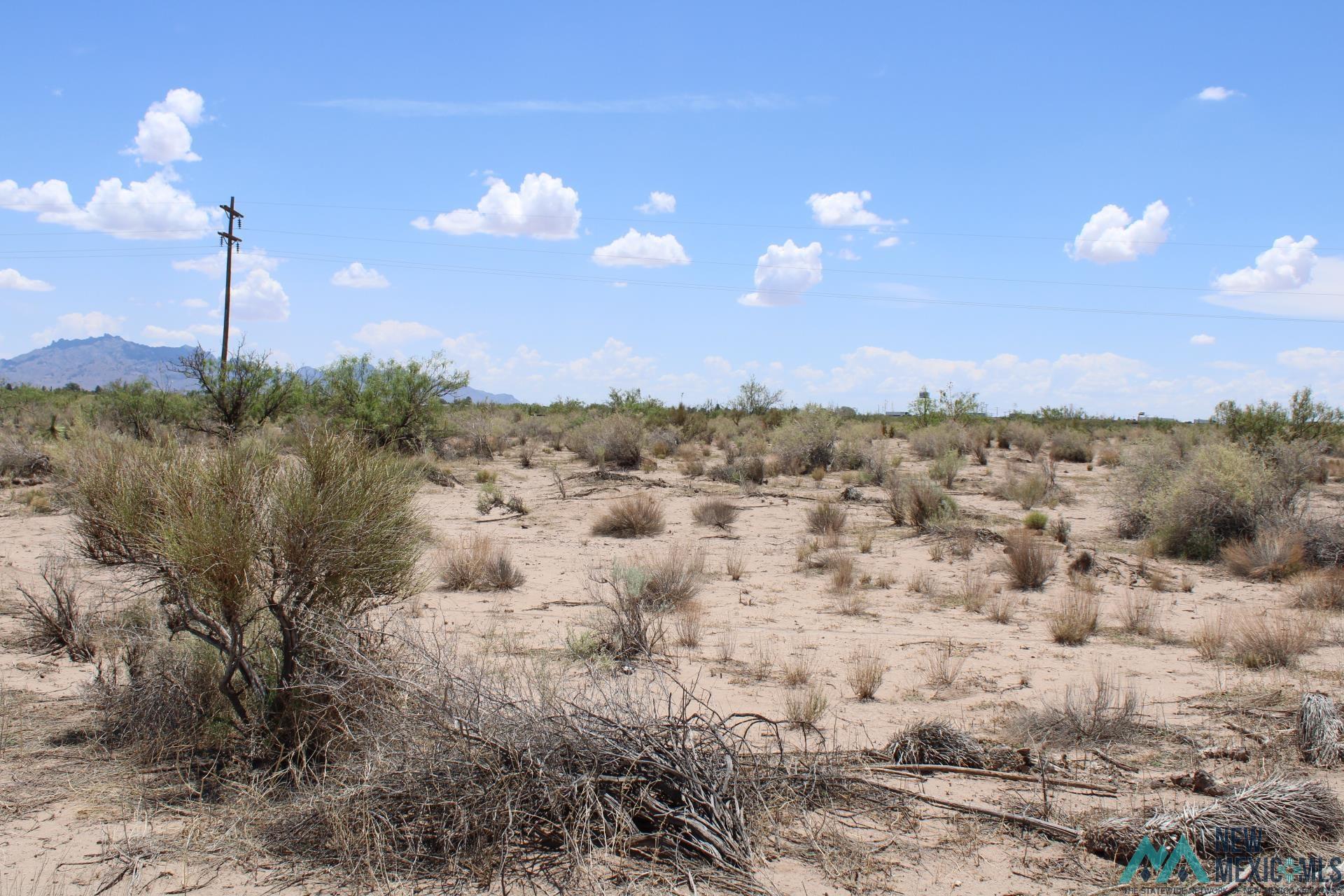 Tomorrow Land Estates Bk D, Deming, New Mexico image 4