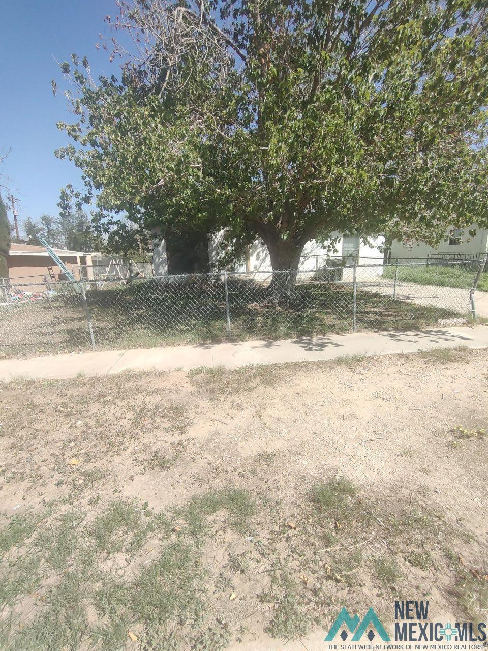 804 Sandia Street, Carlsbad, Texas image 3